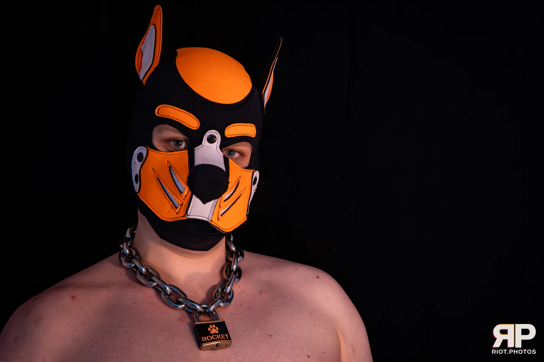 Pup Rocket