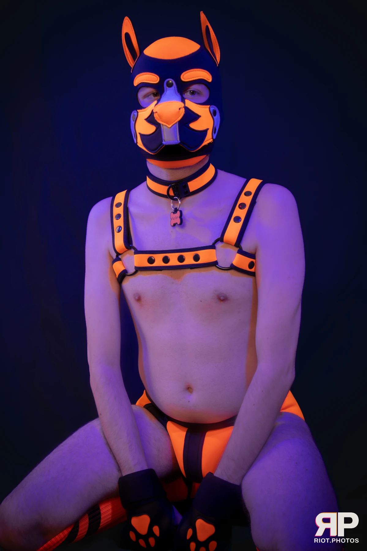 Pup Sam — furry & pup photography by Fluffy Riot — photo 9