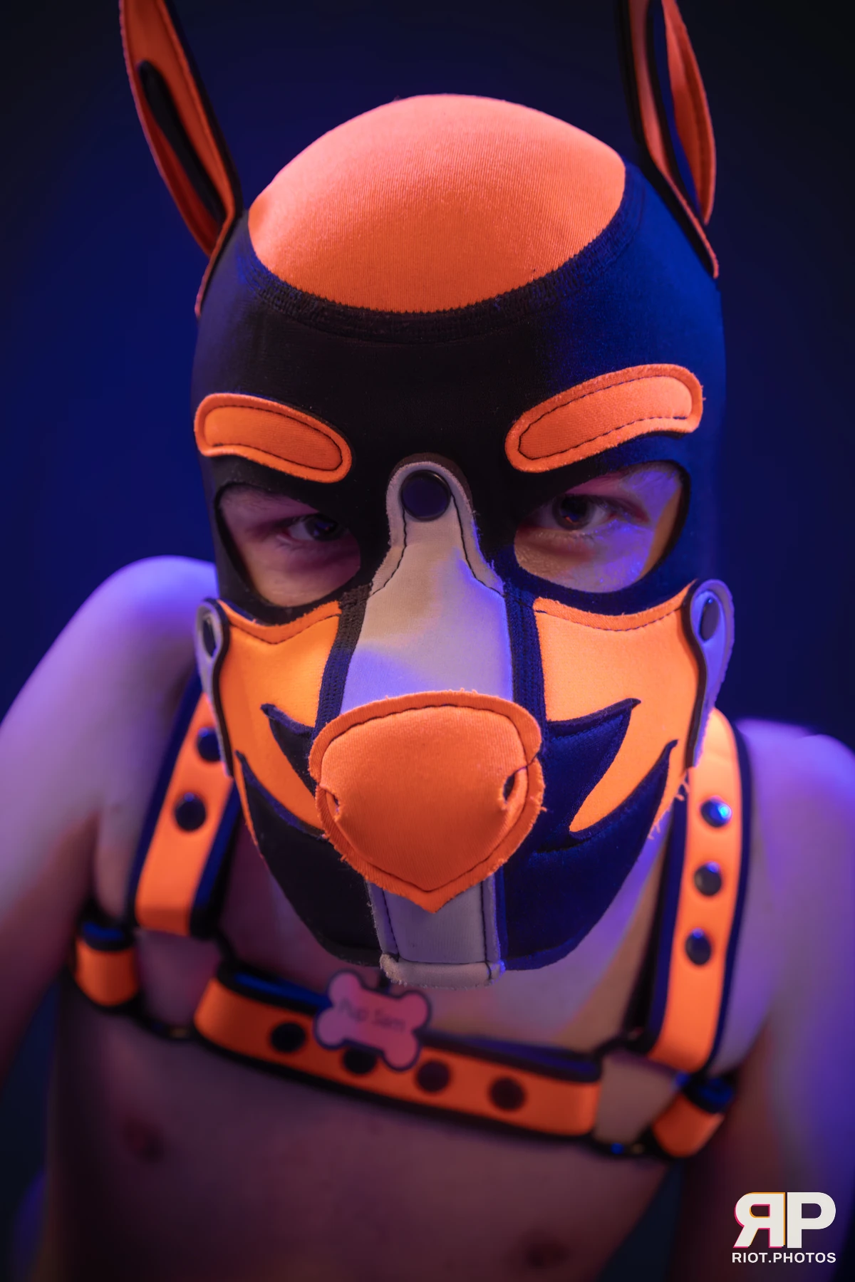 Pup Sam — furry & pup photography by Fluffy Riot — photo 10
