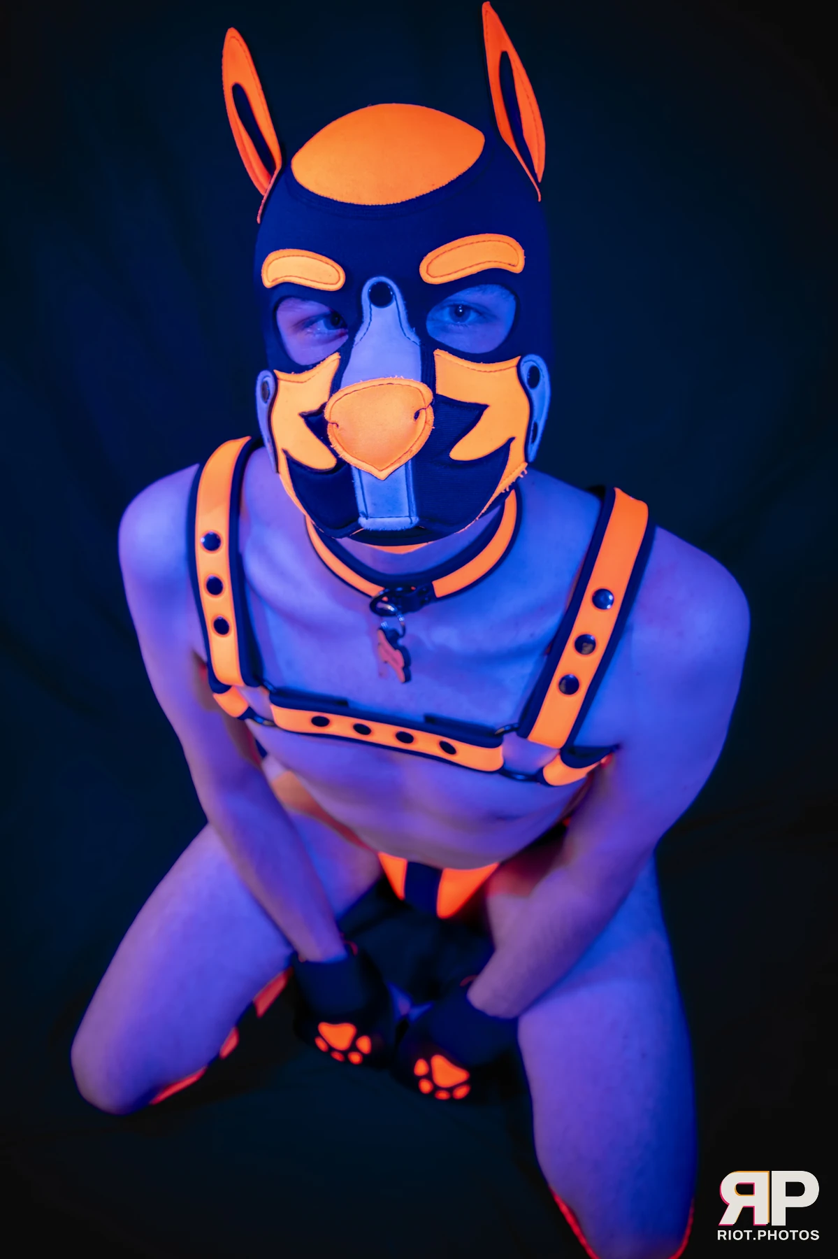 Pup Sam — furry & pup photography by Fluffy Riot — photo 11