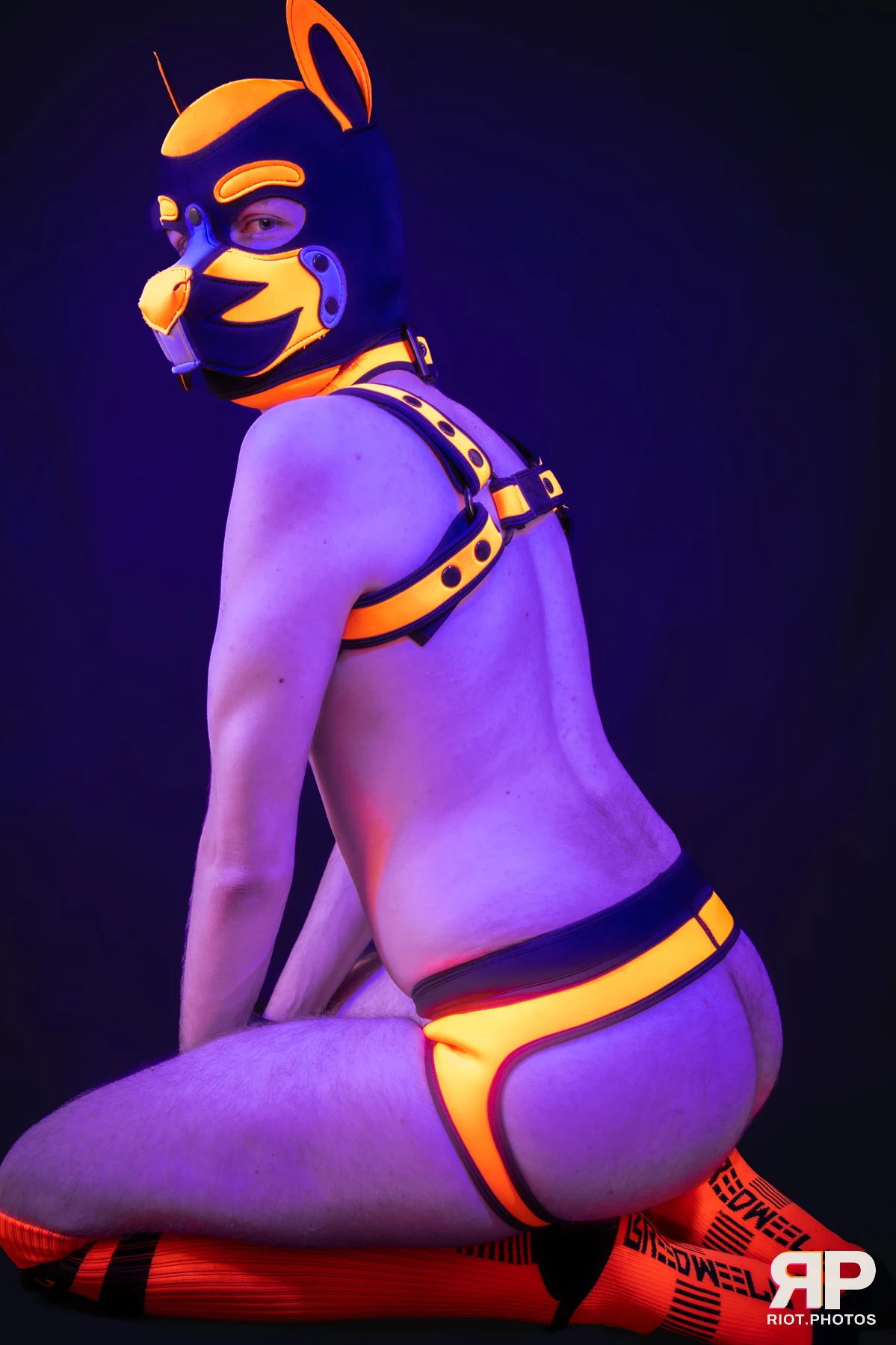 Pup Sam — furry & pup photography by Fluffy Riot — photo 12