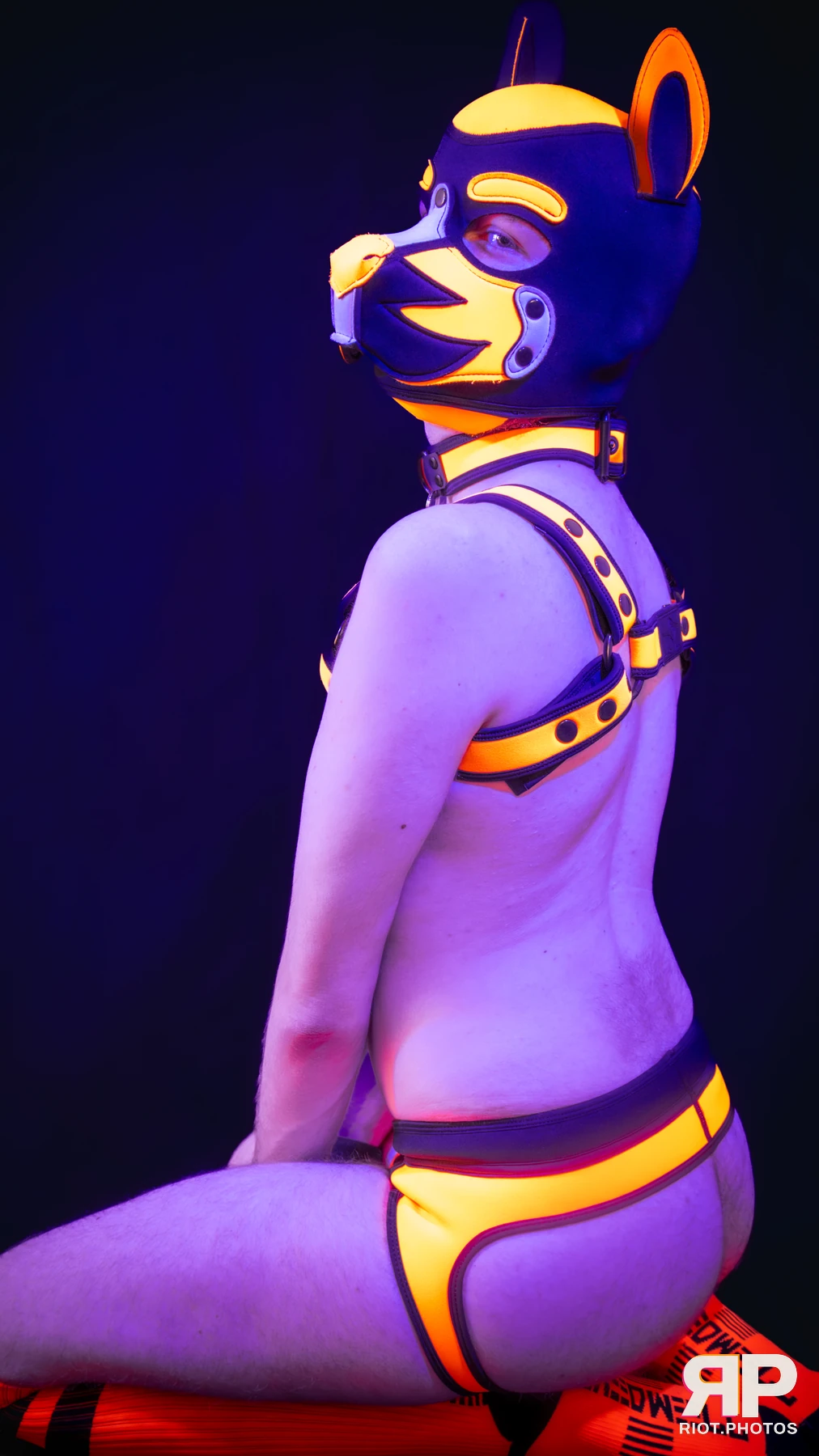 Pup Sam — furry & pup photography by Fluffy Riot — photo 13