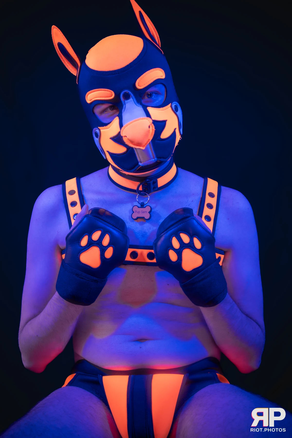 Pup Sam — furry & pup photography by Fluffy Riot — photo 14