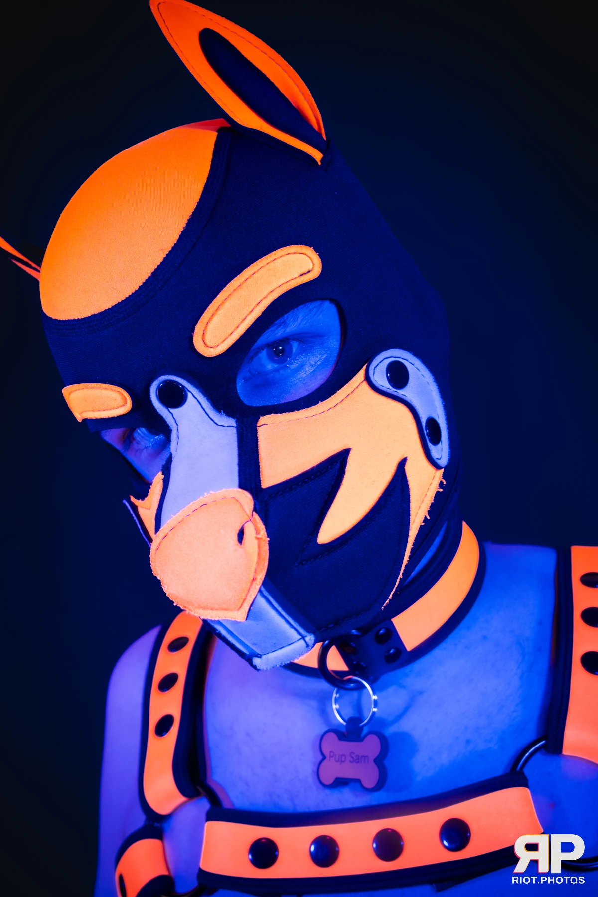Pup Sam — furry & pup photography by Fluffy Riot — photo 20