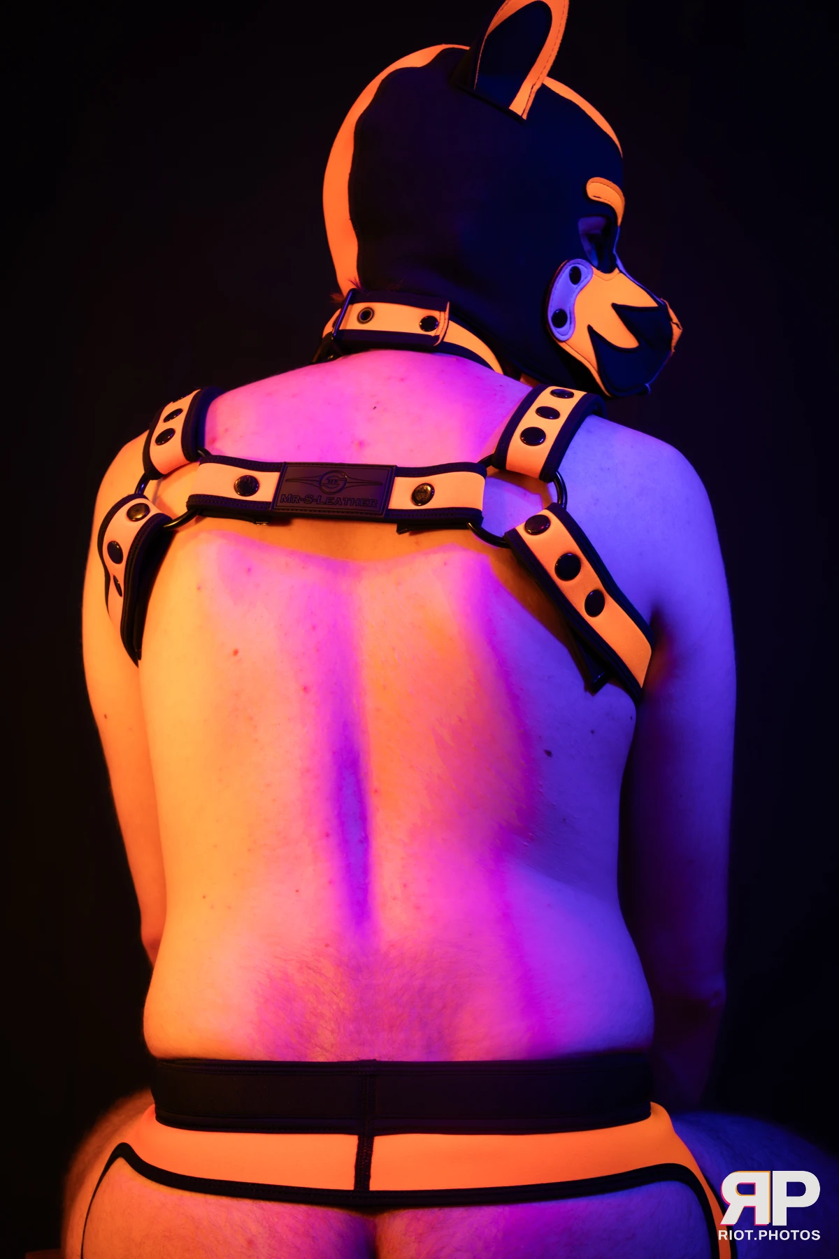 Pup Sam — furry & pup photography by Fluffy Riot — photo 27