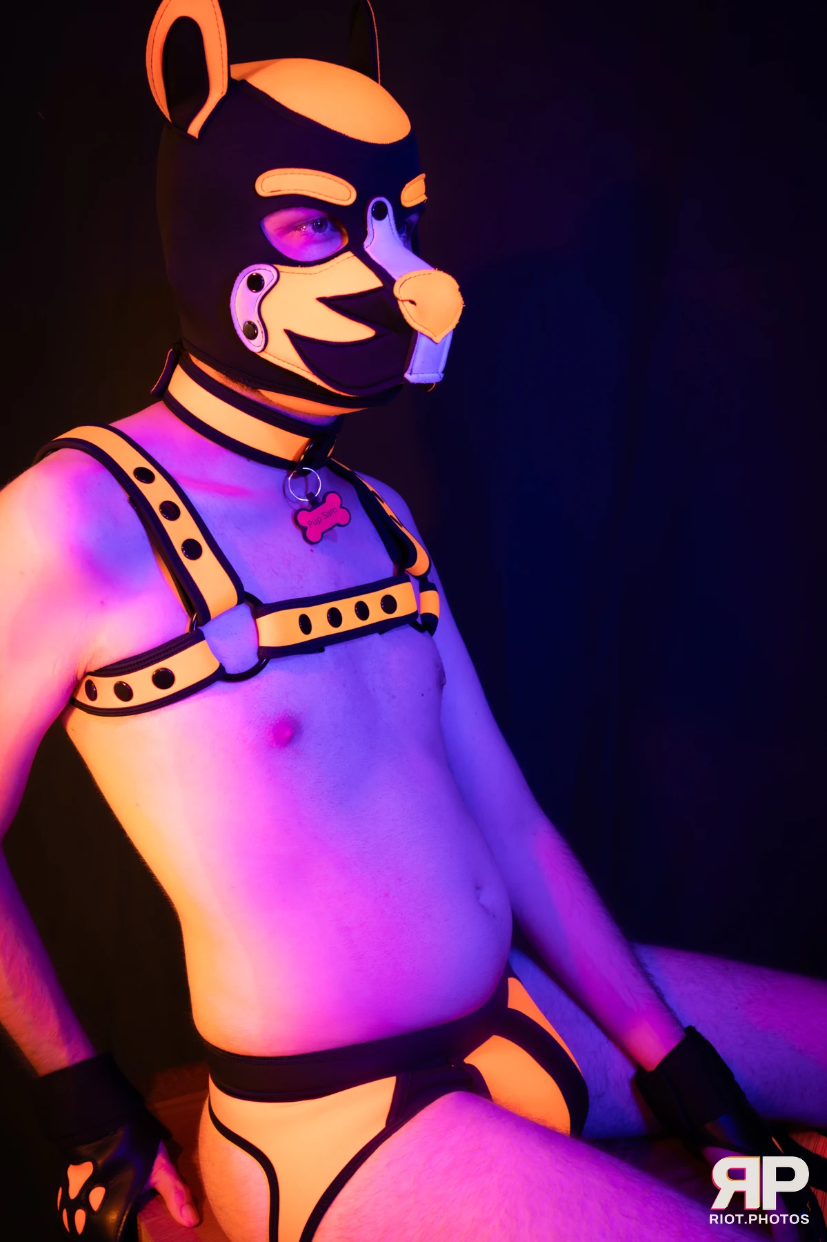 Pup Sam — furry & pup photography by Fluffy Riot — photo 28