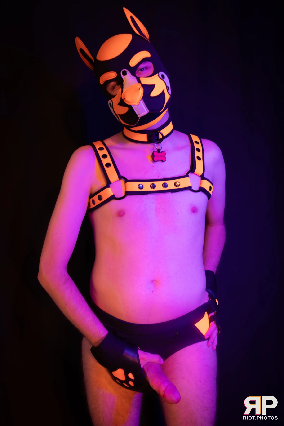 Pup Sam — furry & pup photography by Fluffy Riot — photo 31