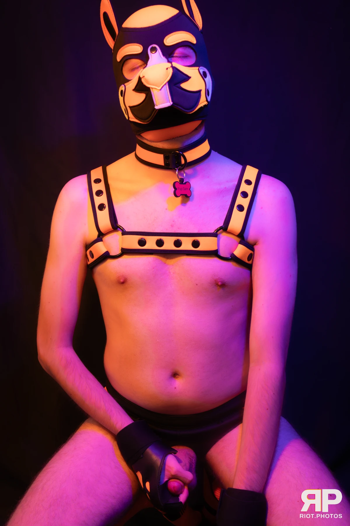 Pup Sam — furry & pup photography by Fluffy Riot — photo 33