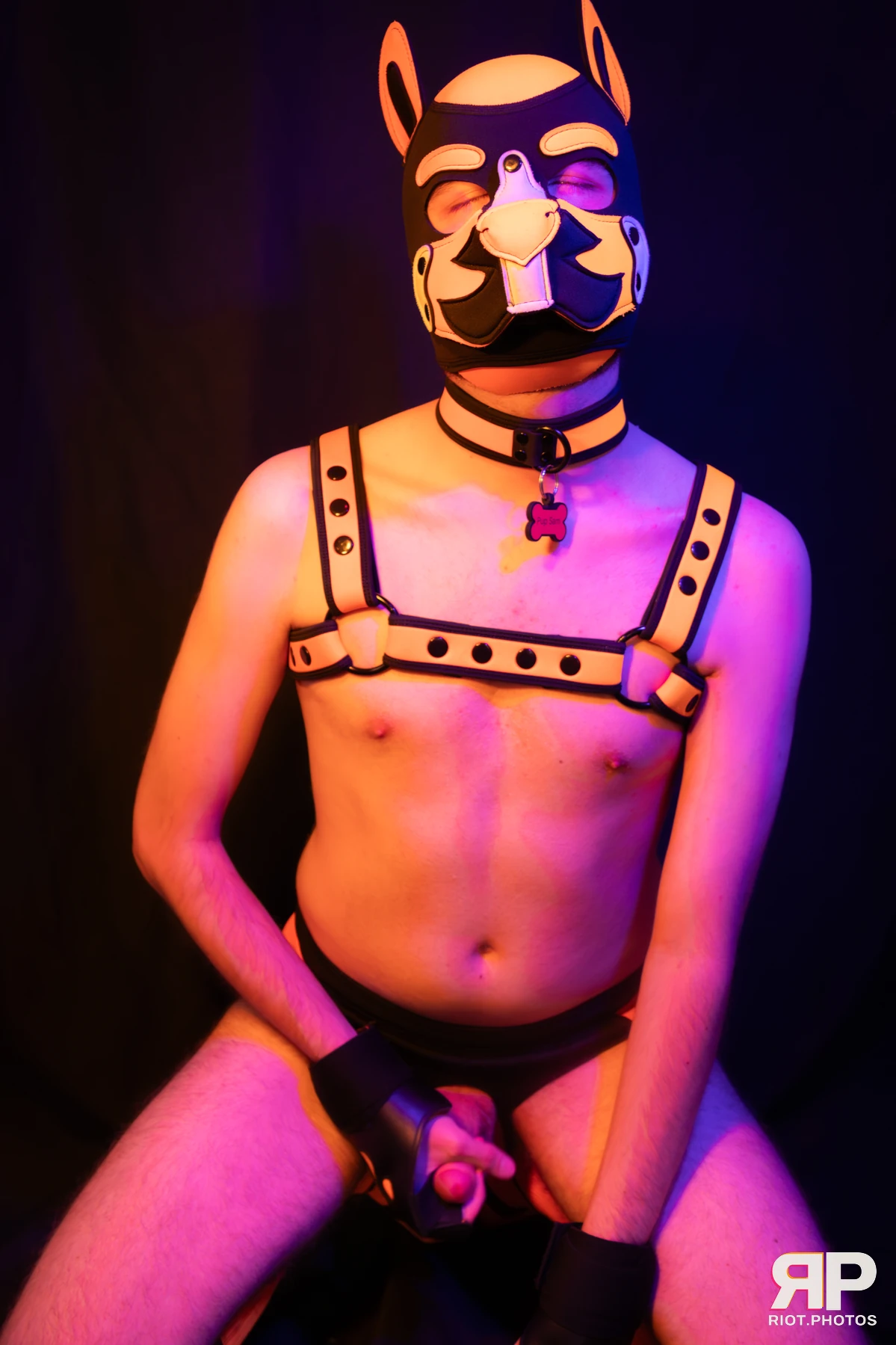 Pup Sam — furry & pup photography by Fluffy Riot — photo 34