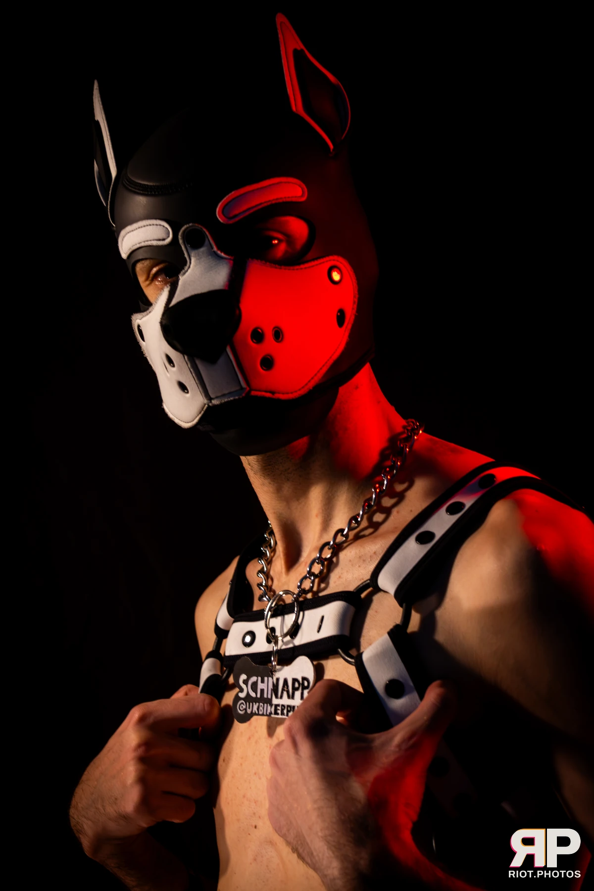 Pup Schnapp — furry & pup photography by Fluffy Riot — photo 3