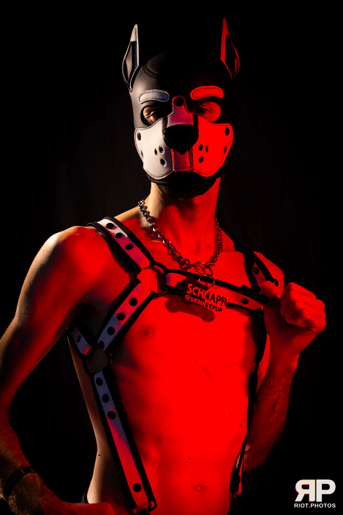 Pup Schnapp — furry & pup photography by Fluffy Riot — photo 4