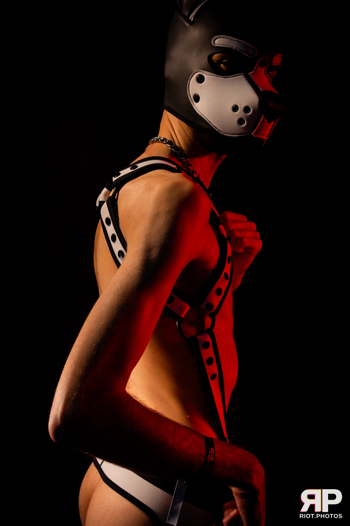 Pup Schnapp — furry & pup photography by Fluffy Riot — photo 5