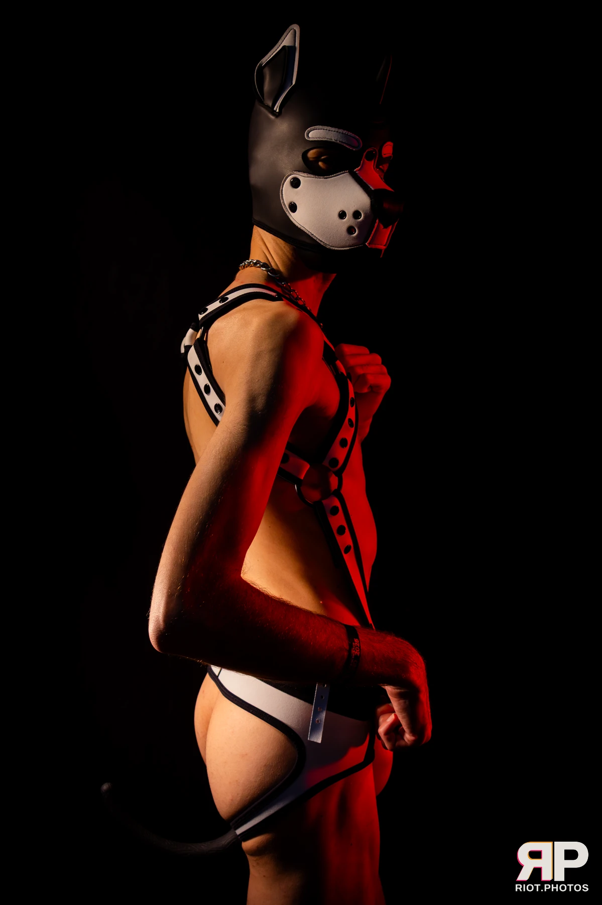 Pup Schnapp — furry & pup photography by Fluffy Riot — photo 6