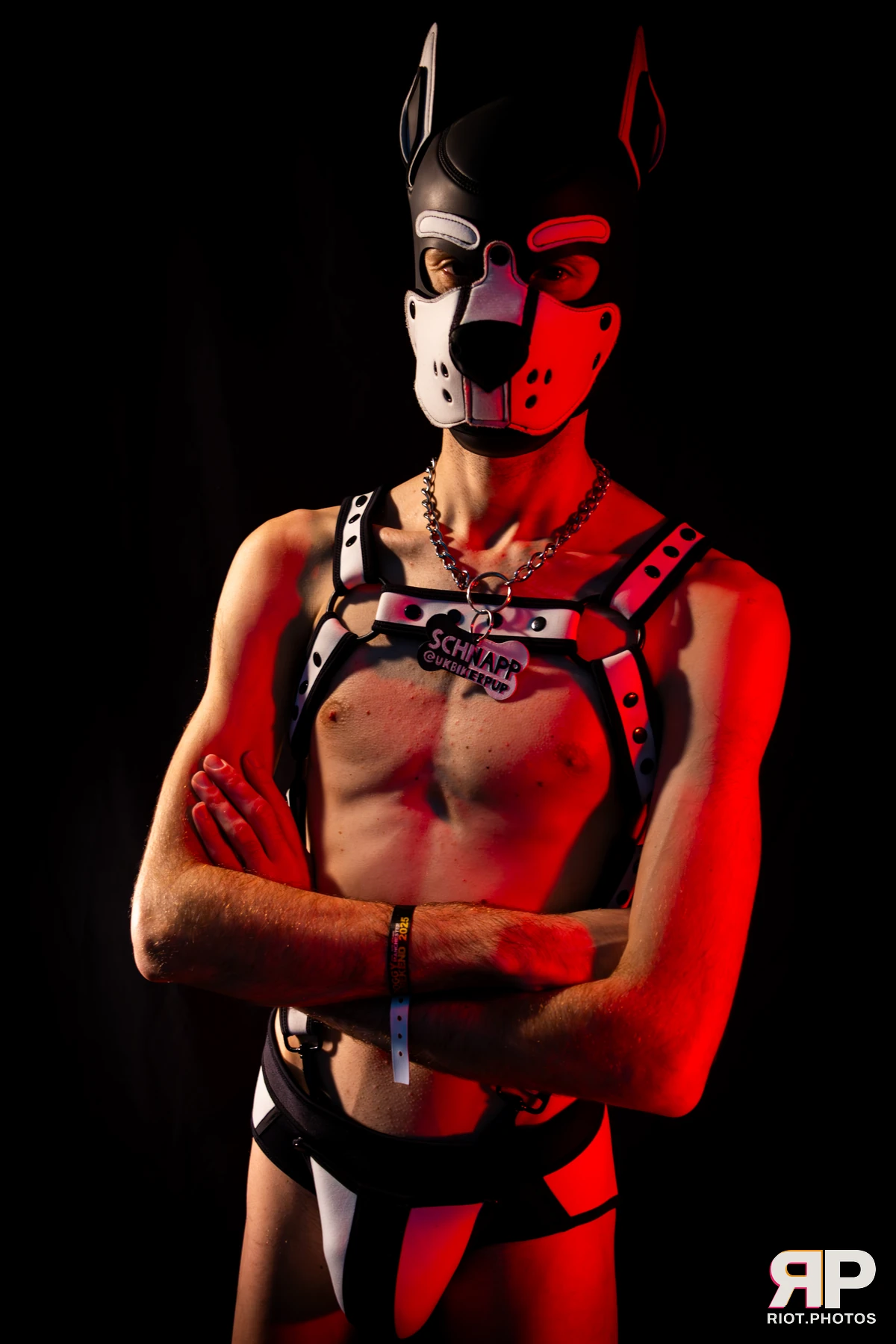 Pup Schnapp — furry & pup photography by Fluffy Riot — photo 11