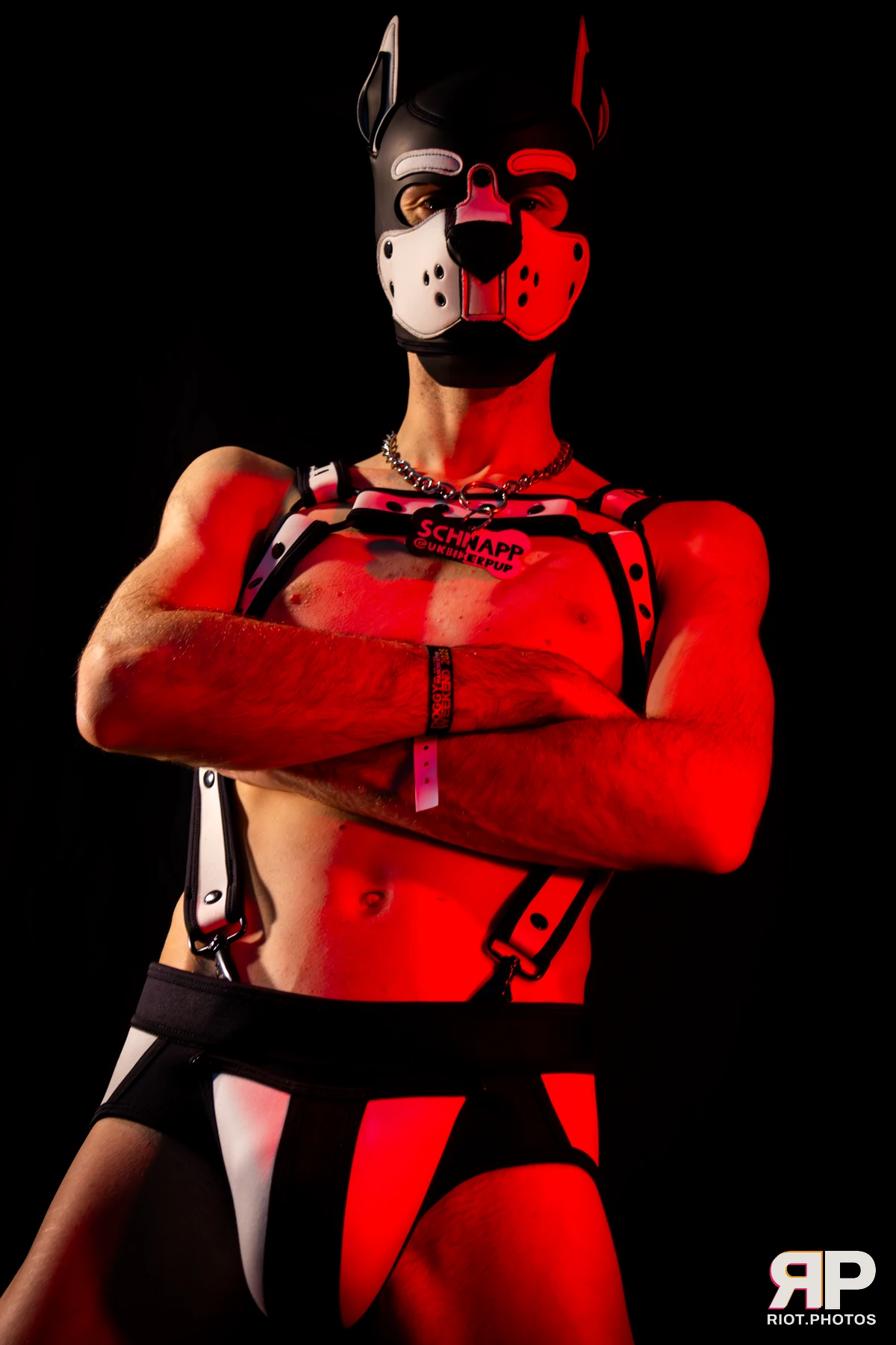Pup Schnapp — furry & pup photography by Fluffy Riot — photo 13