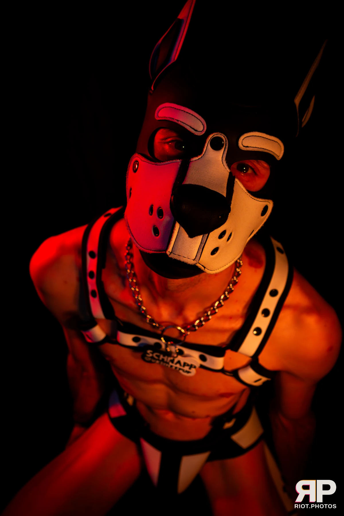 Pup Schnapp — furry & pup photography by Fluffy Riot — photo 29