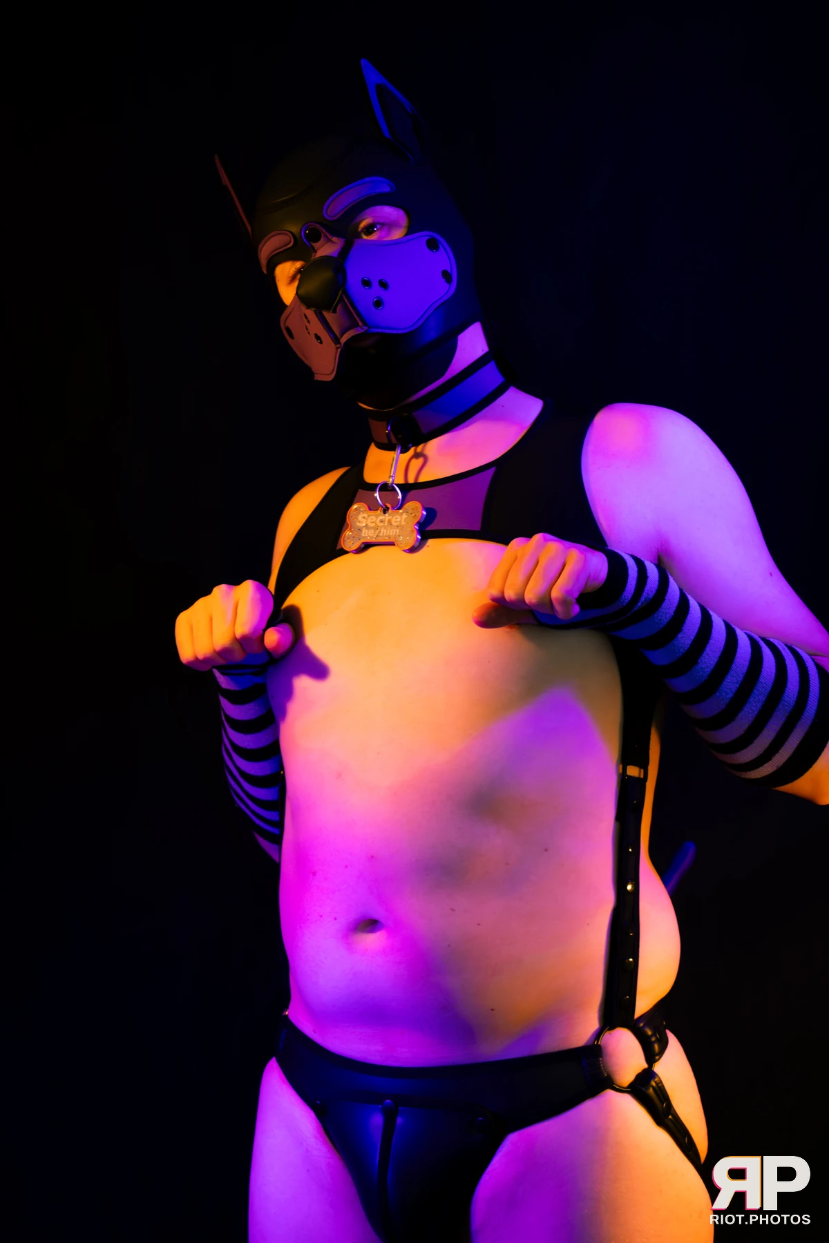 Pup Secret — furry & pup photography by Fluffy Riot — photo 1