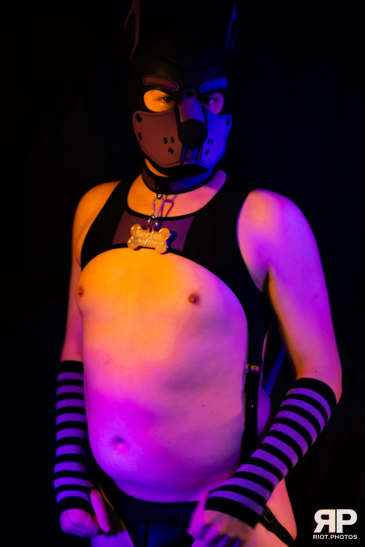 Pup Secret — furry & pup photography by Fluffy Riot — photo 2