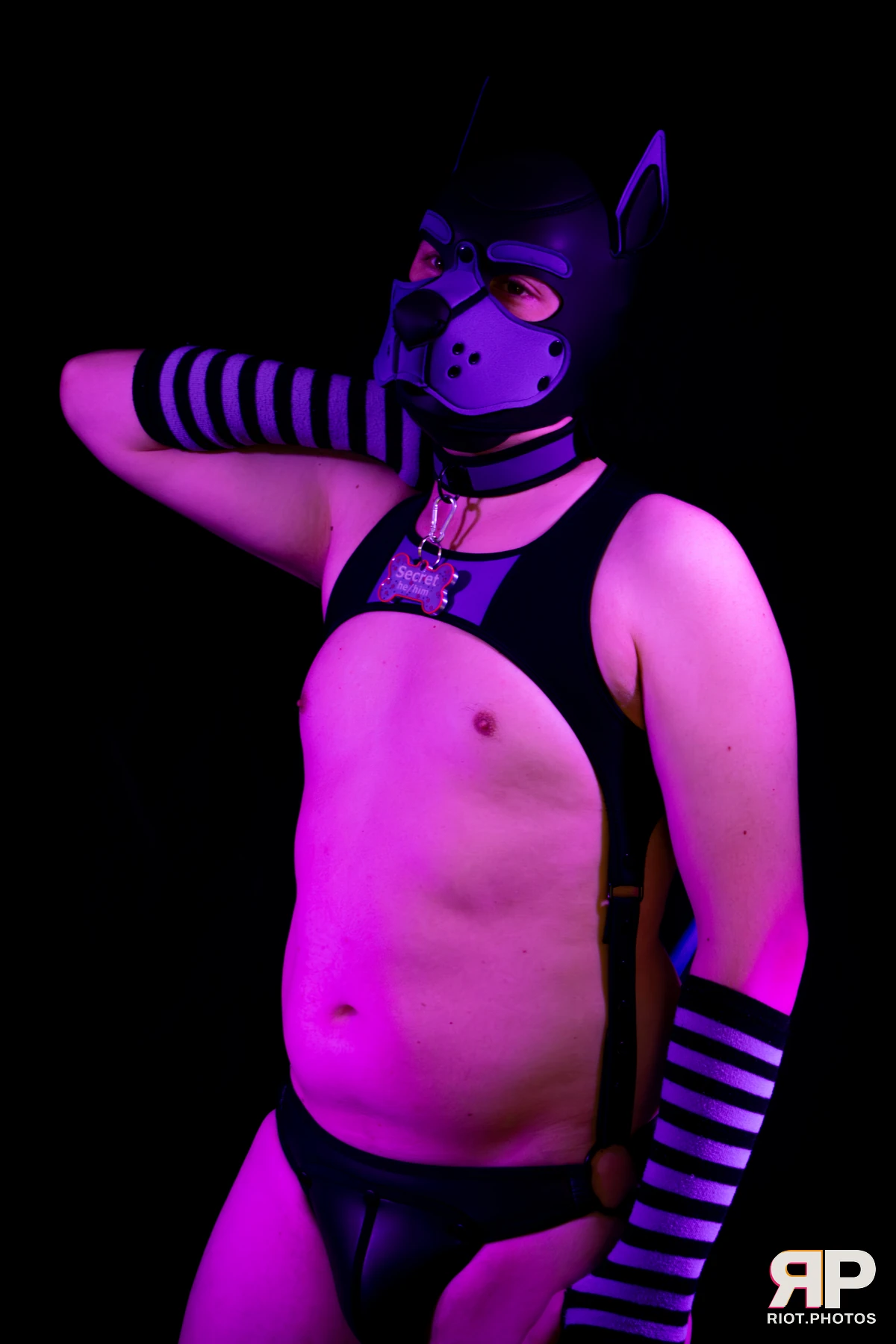 Pup Secret — furry & pup photography by Fluffy Riot — photo 4