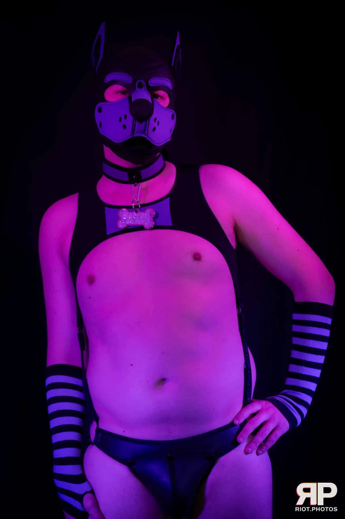 Pup Secret — furry & pup photography by Fluffy Riot — photo 6