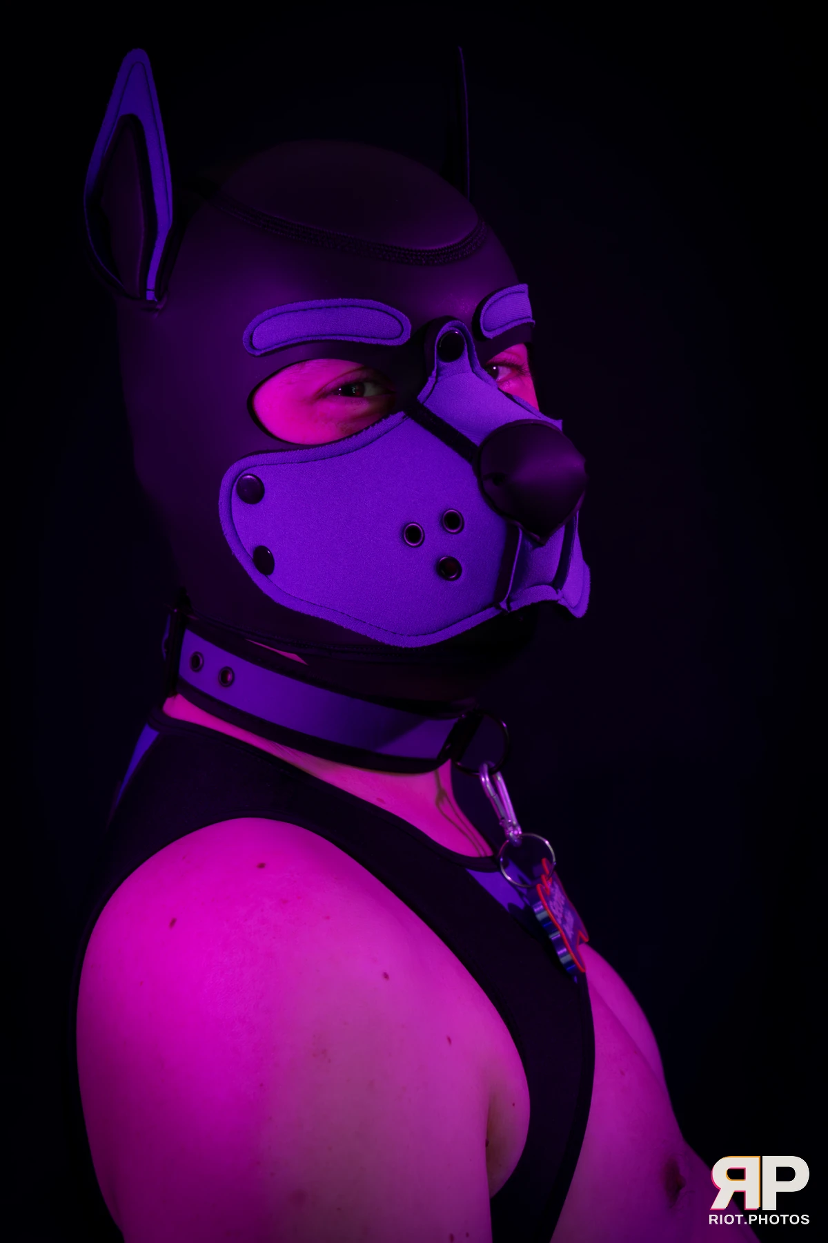 Pup Secret — furry & pup photography by Fluffy Riot — photo 8