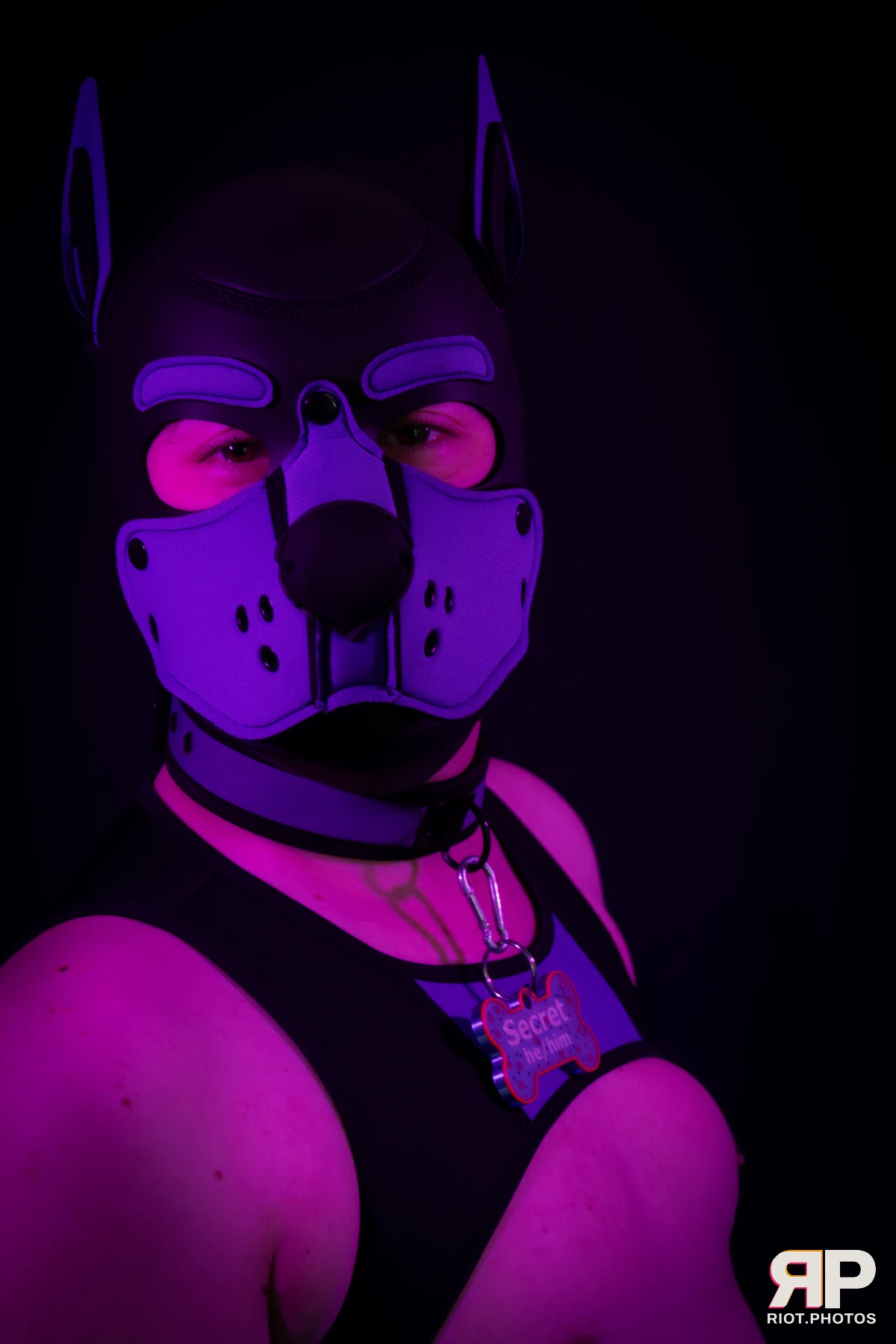 Pup Secret — furry & pup photography by Fluffy Riot — photo 9