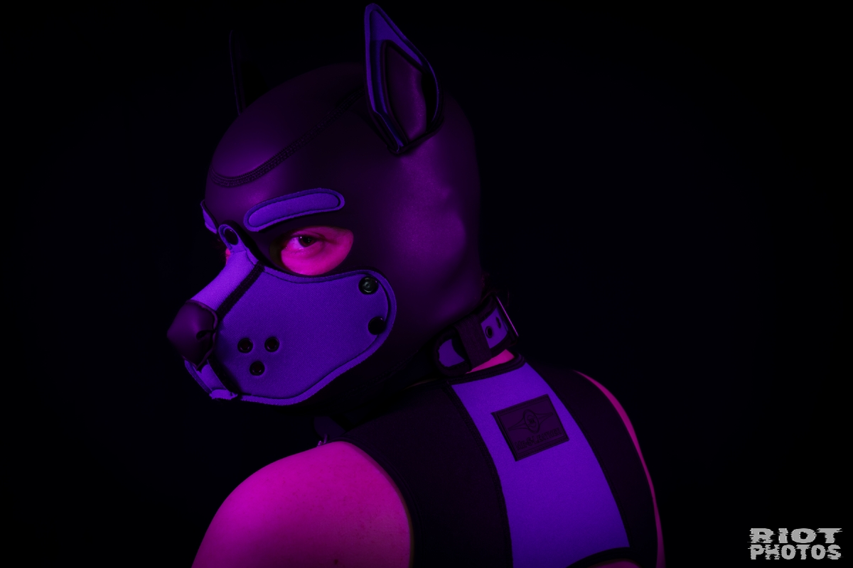 Pup Secret