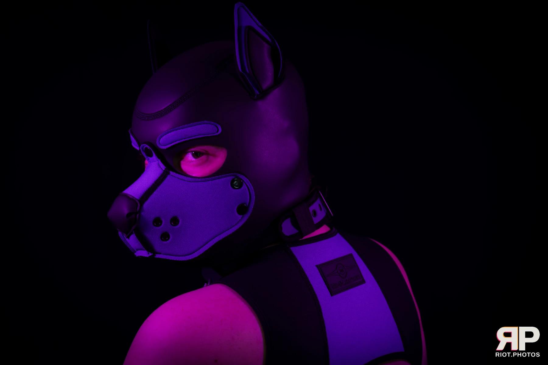 Pup Secret