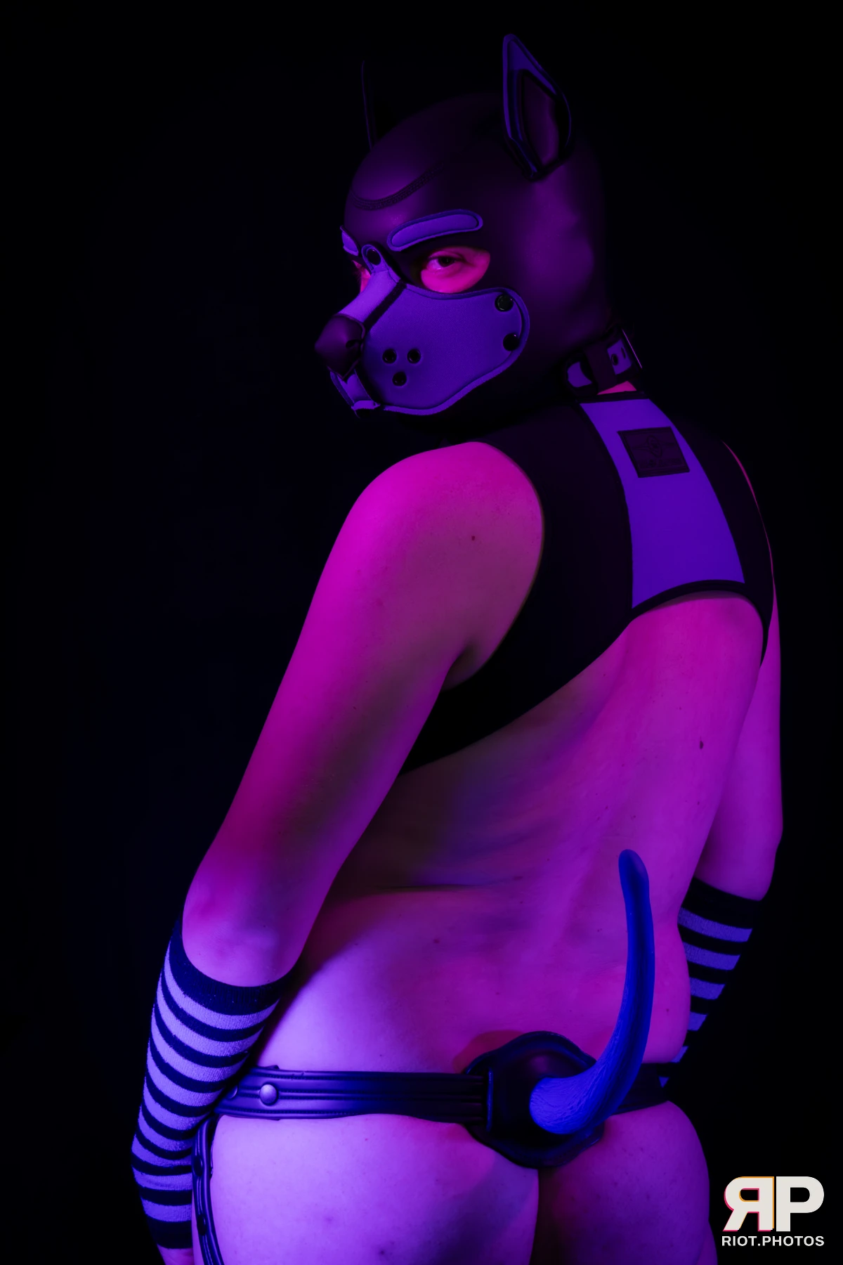 Pup Secret — furry & pup photography by Fluffy Riot — photo 11