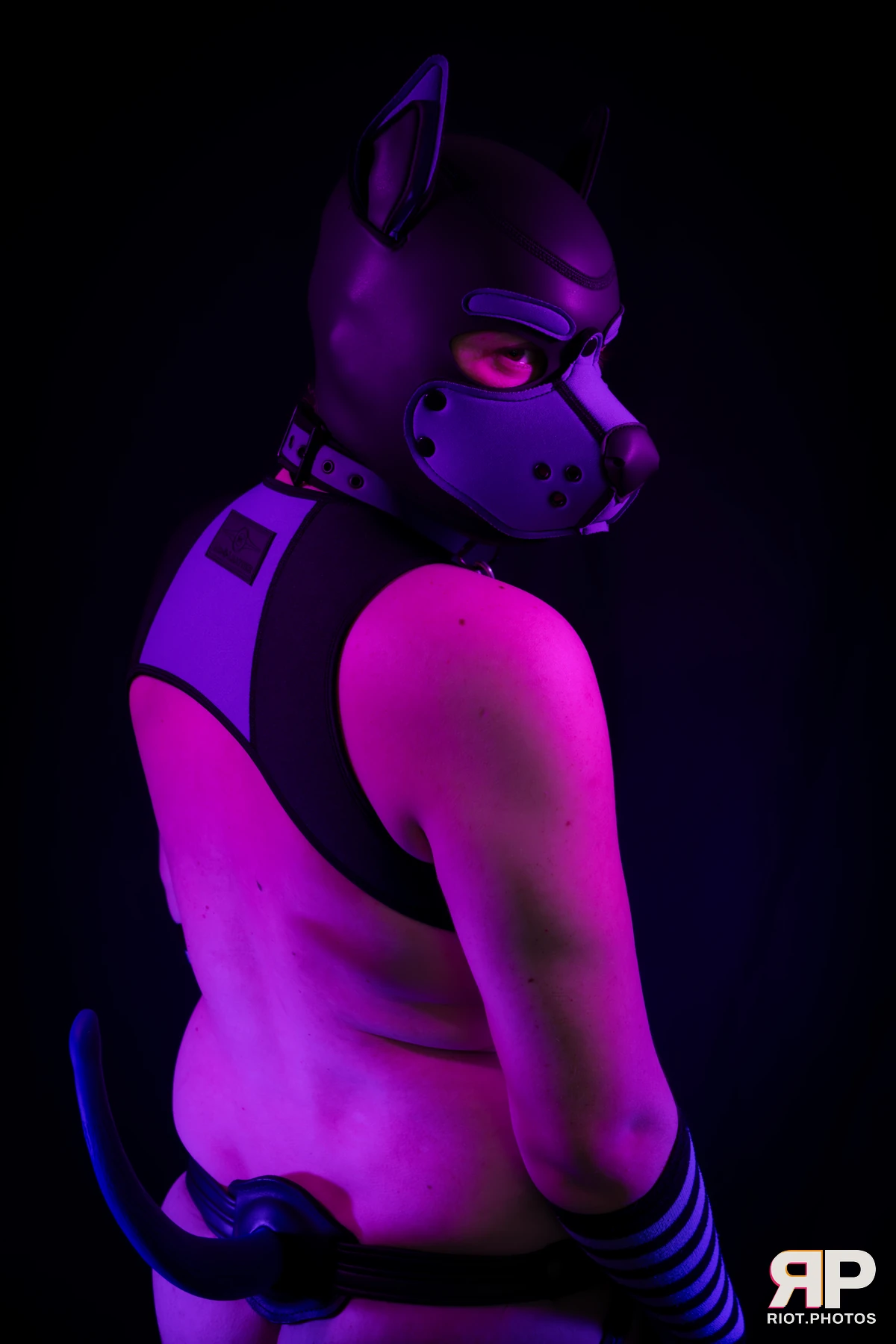 Pup Secret — furry & pup photography by Fluffy Riot — photo 13
