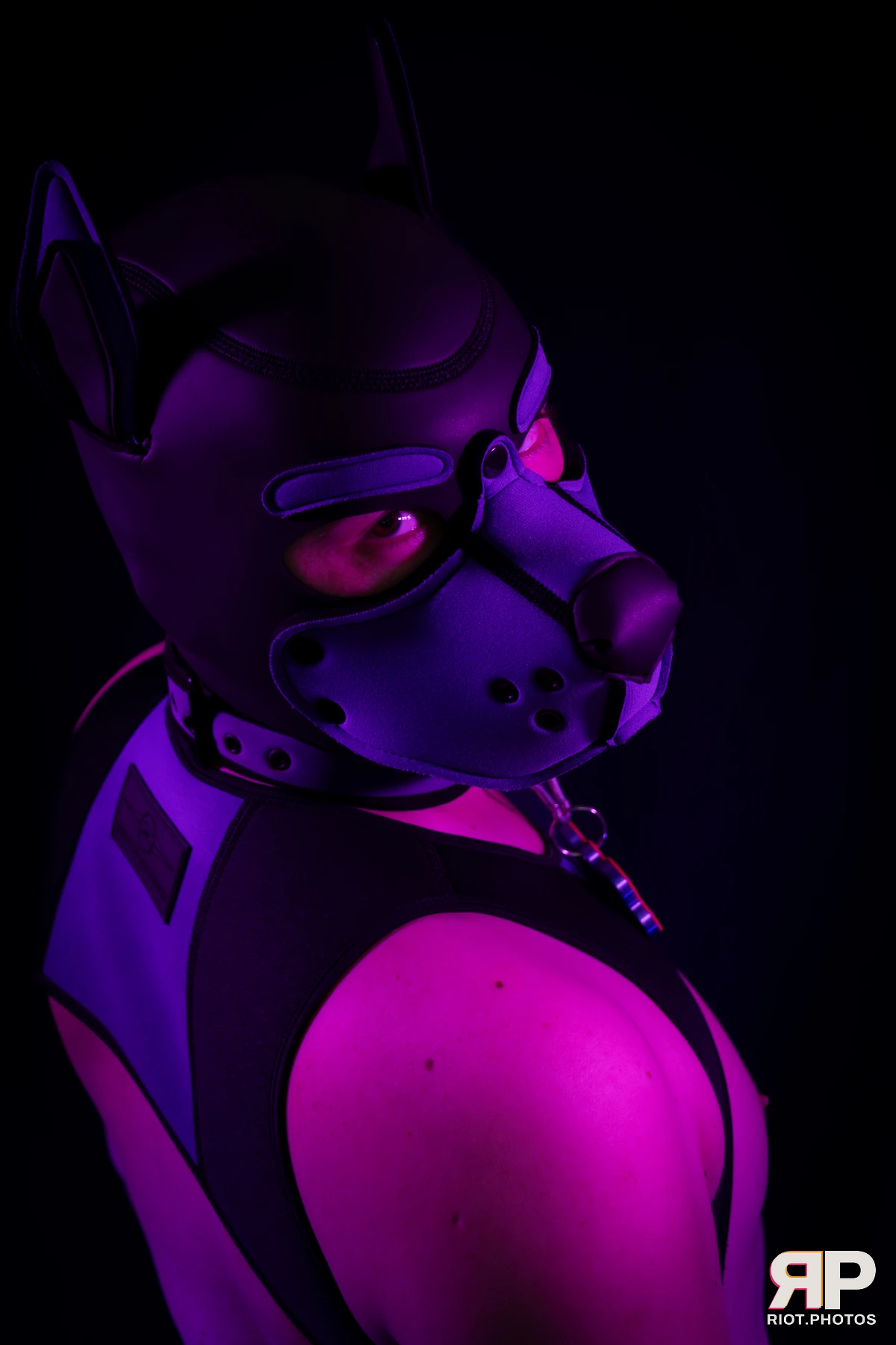 Pup Secret — furry & pup photography by Fluffy Riot — photo 14