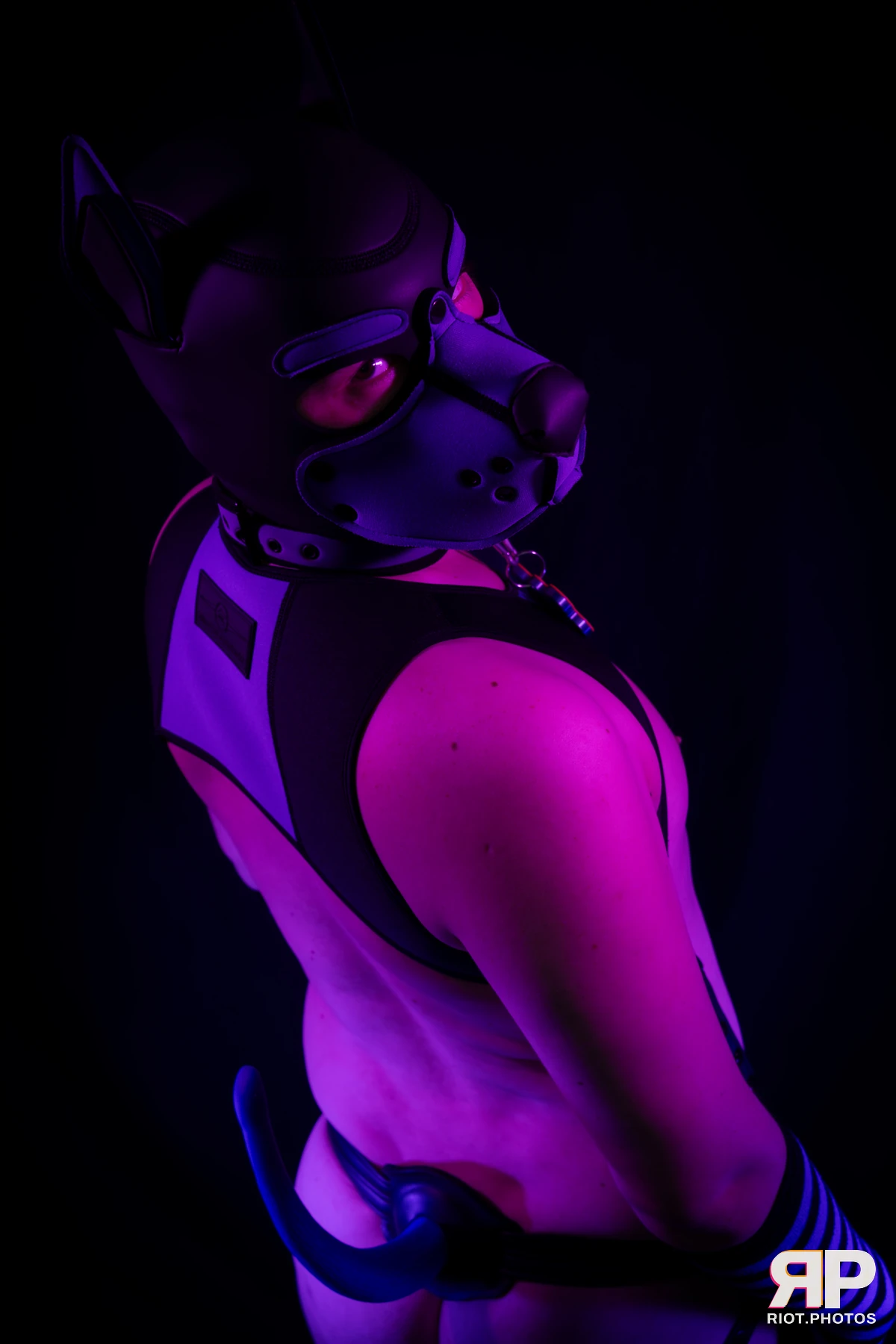 Pup Secret — furry & pup photography by Fluffy Riot — photo 15