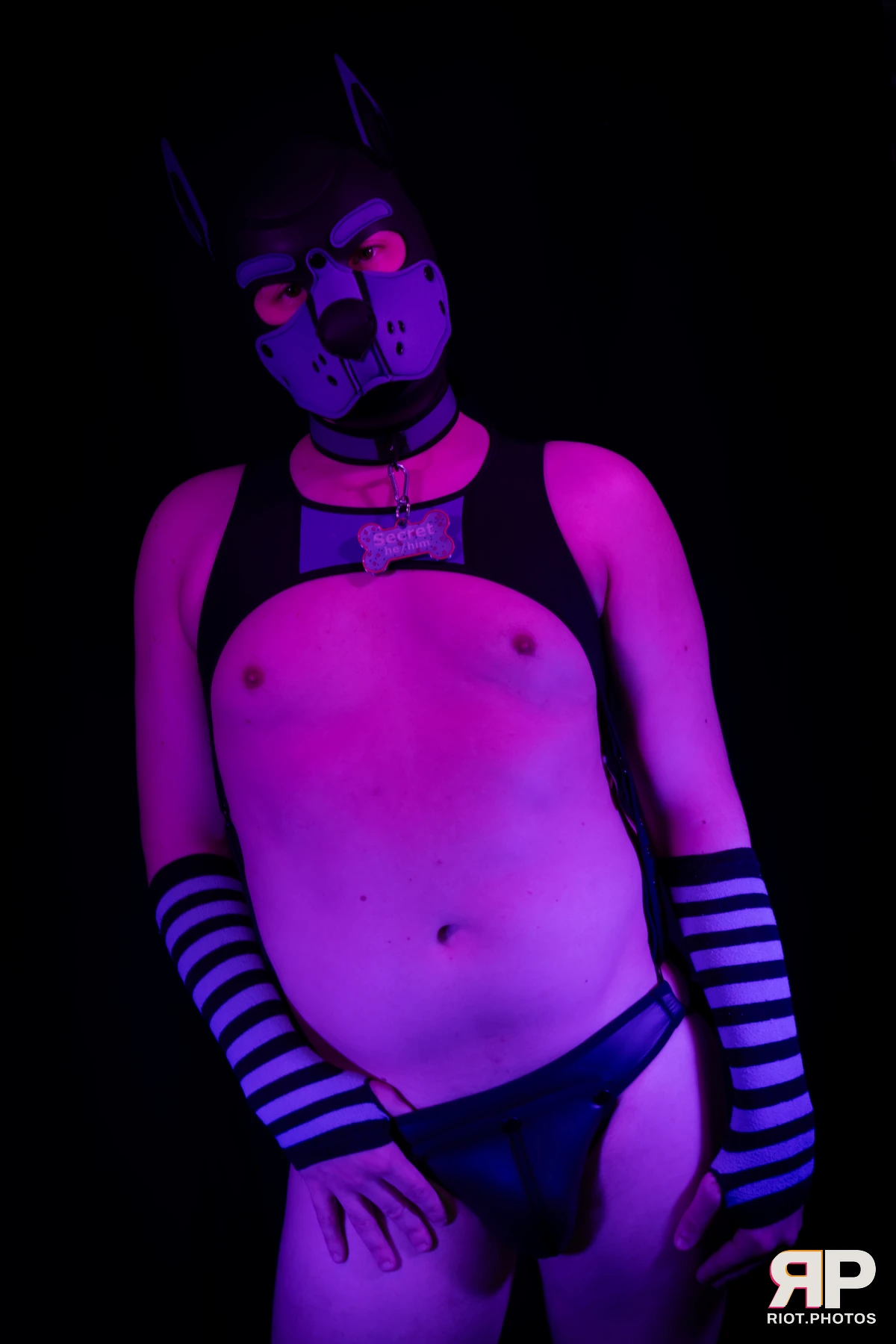 Pup Secret — furry & pup photography by Fluffy Riot — photo 16