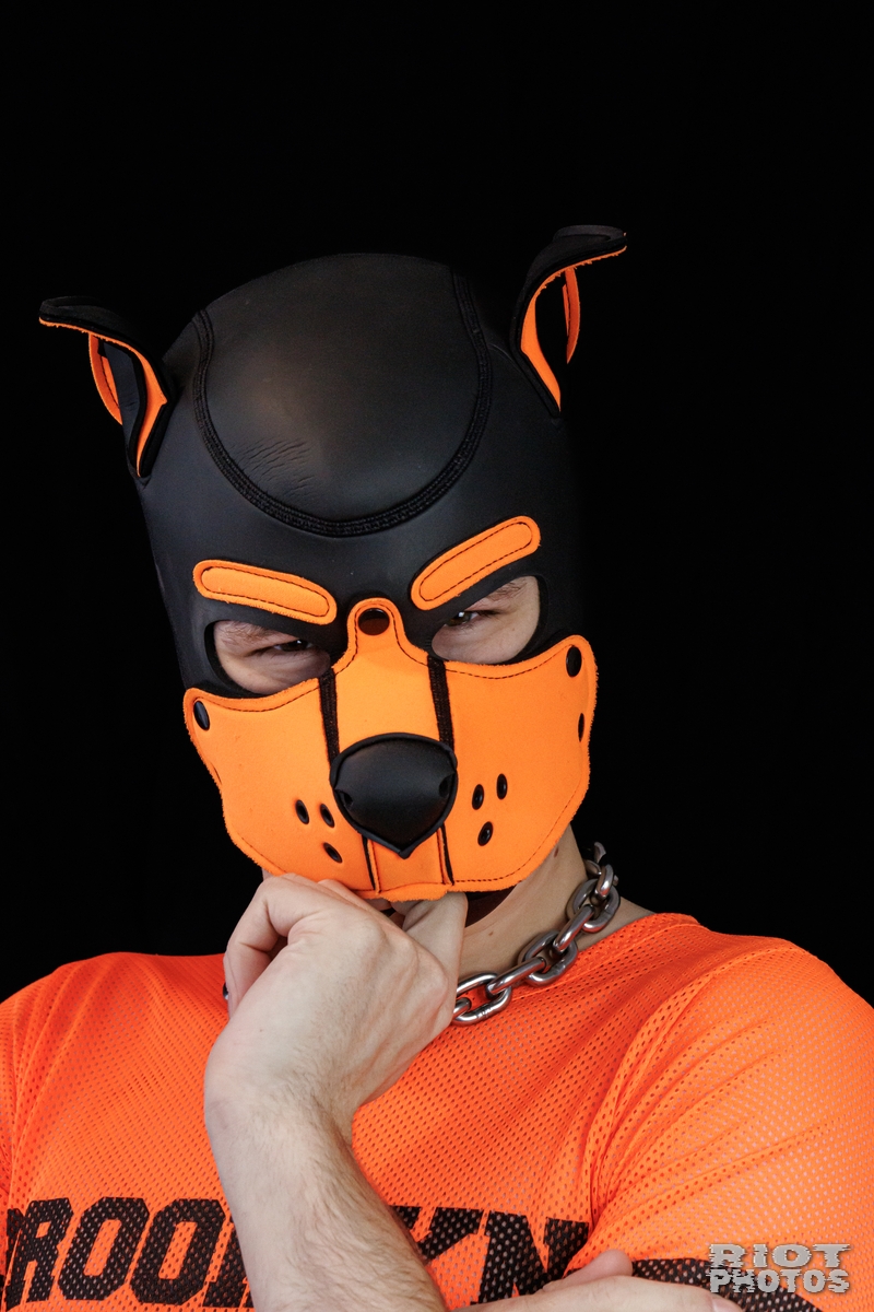 Pup Sparky