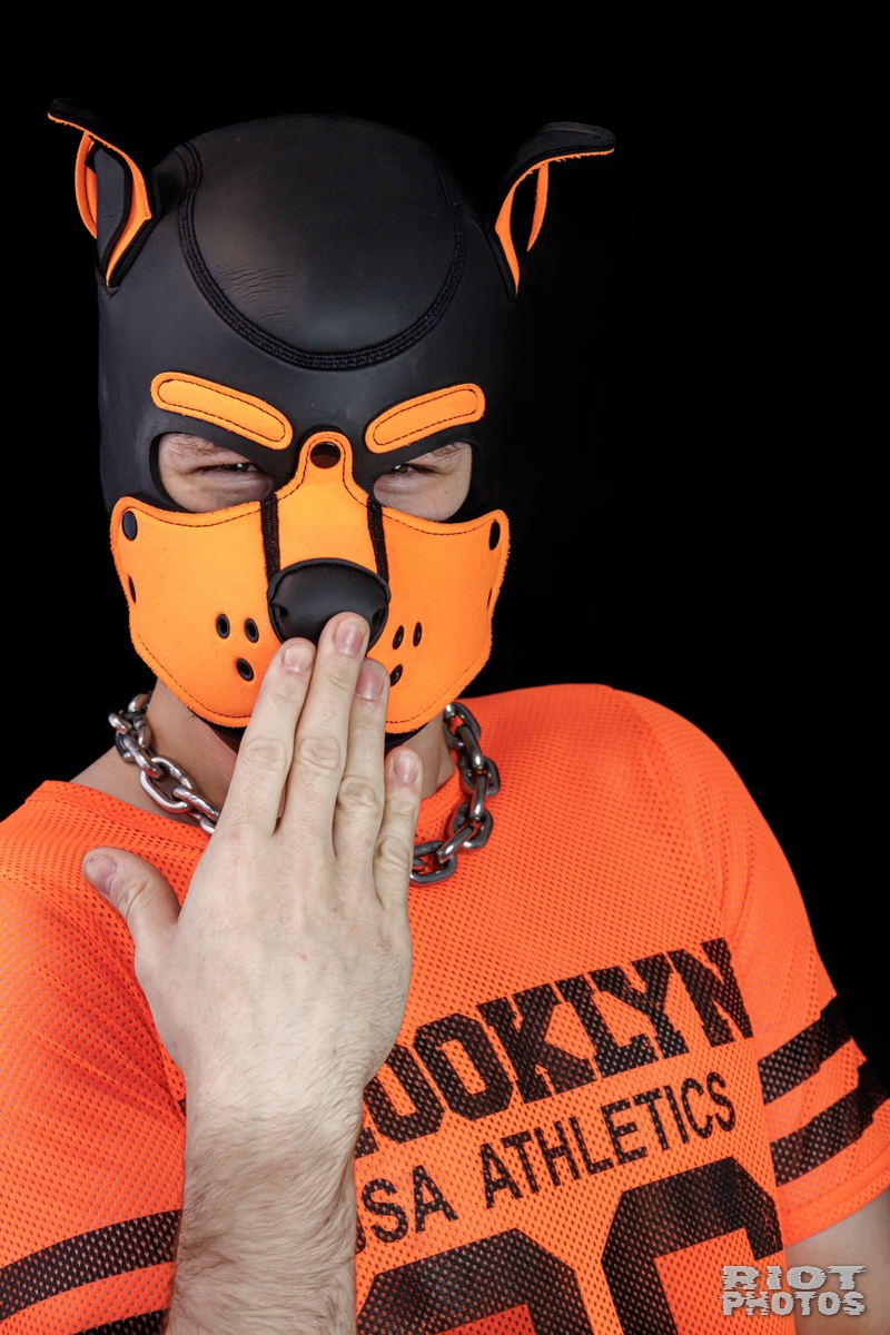 2025-01-21 Sparky-009.jpg
