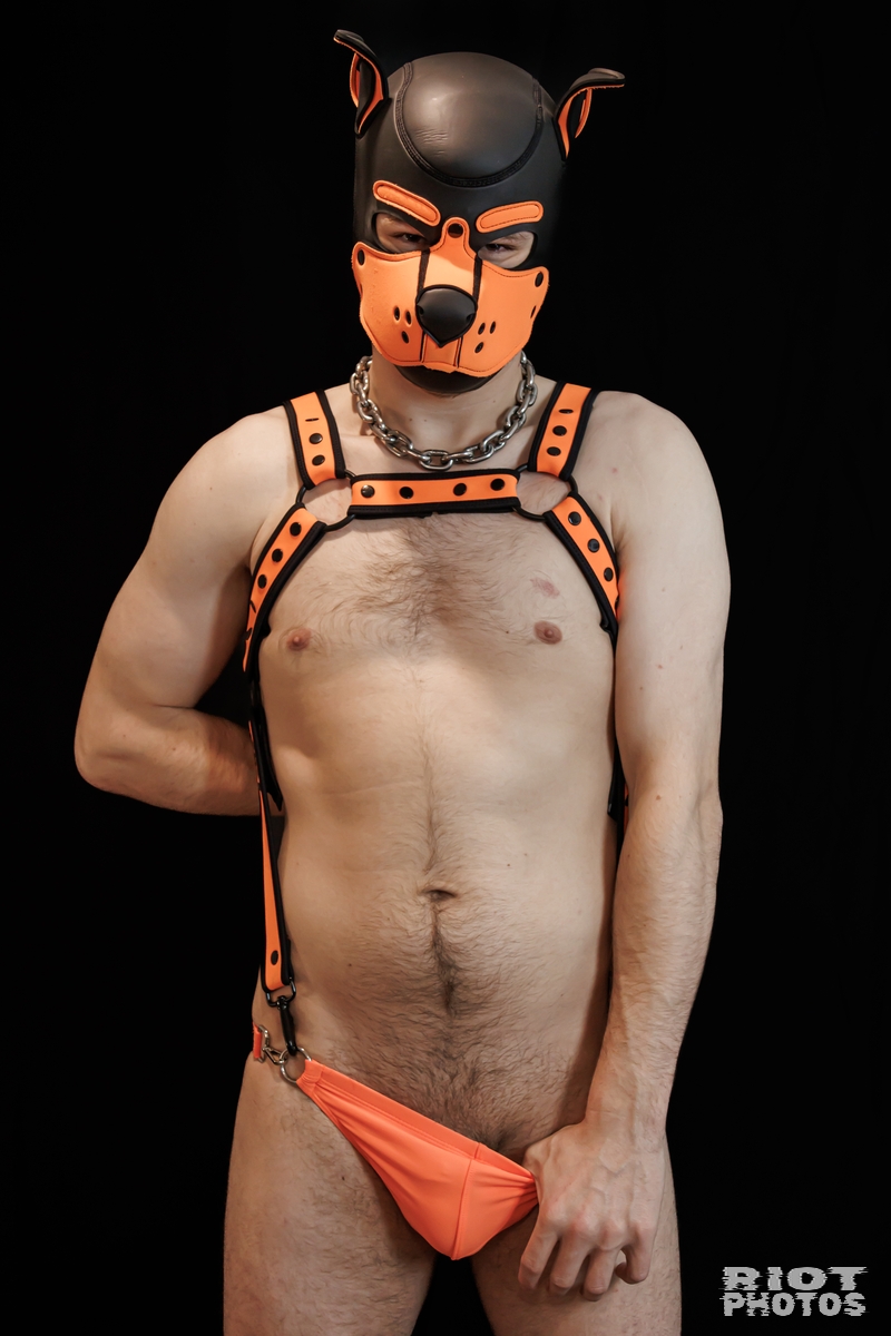 2025-01-21 Sparky-015.jpg