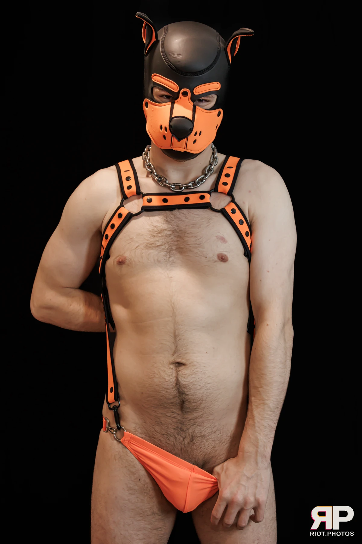 Pup Sparky — furry & pup photography by Fluffy Riot — photo 67