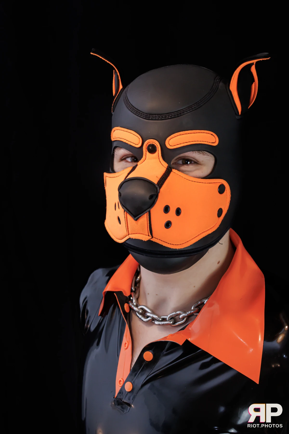 Pup Sparky — furry & pup photography by Fluffy Riot — photo 73