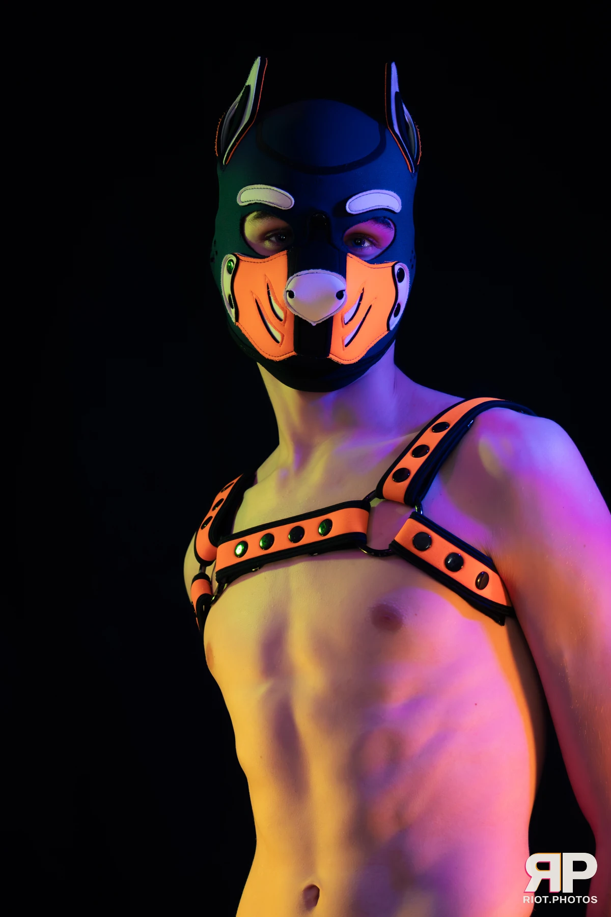 Pup Taro — furry & pup photography by Fluffy Riot — photo 26