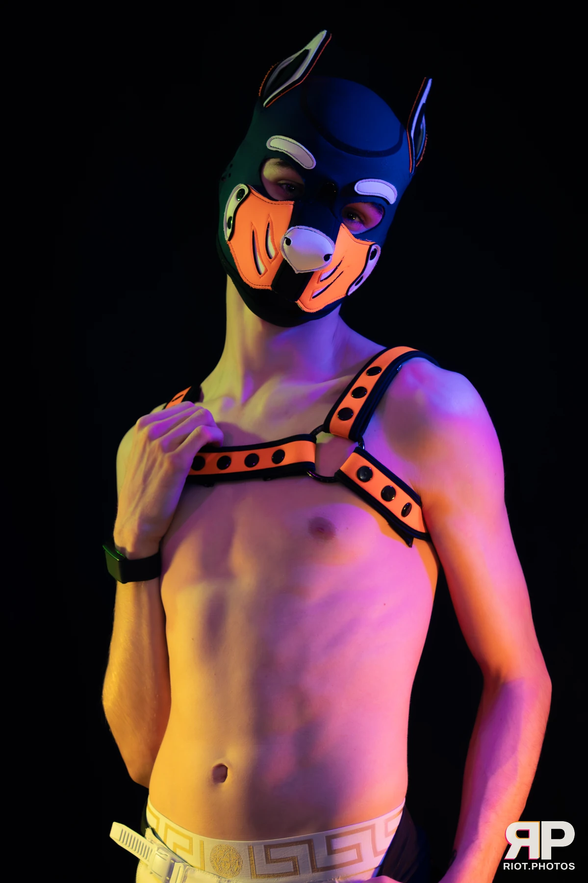 Pup Taro — furry & pup photography by Fluffy Riot — photo 28