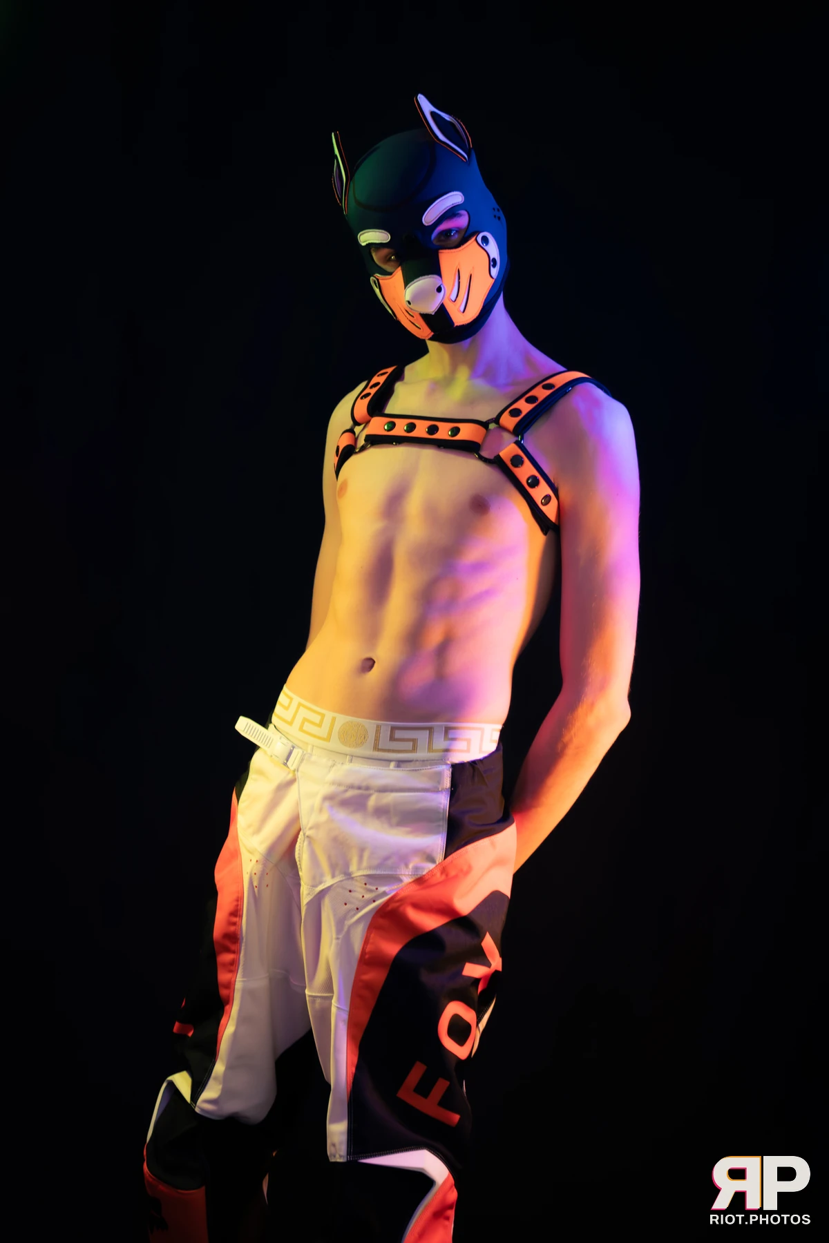 Pup Taro — furry & pup photography by Fluffy Riot — photo 35