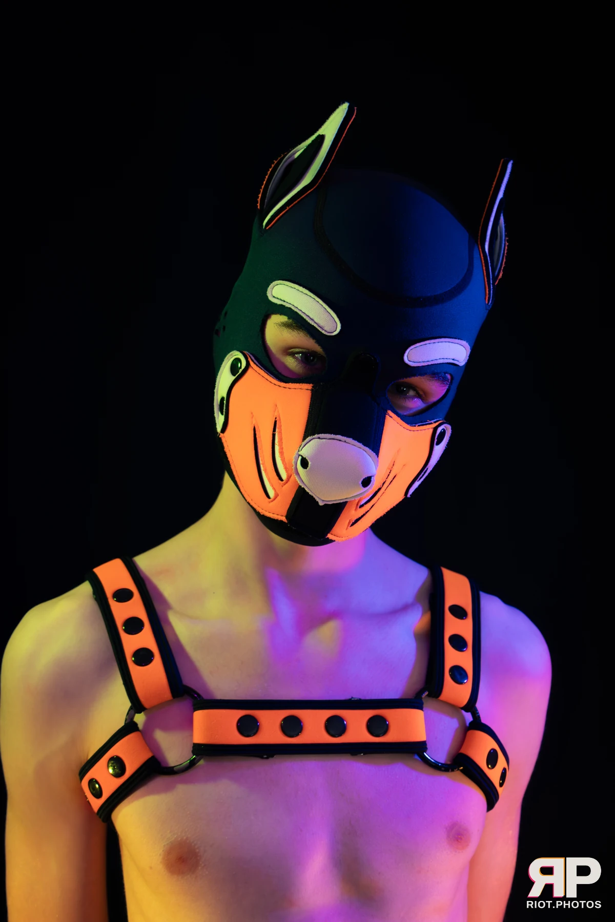 Pup Taro — furry & pup photography by Fluffy Riot — photo 36