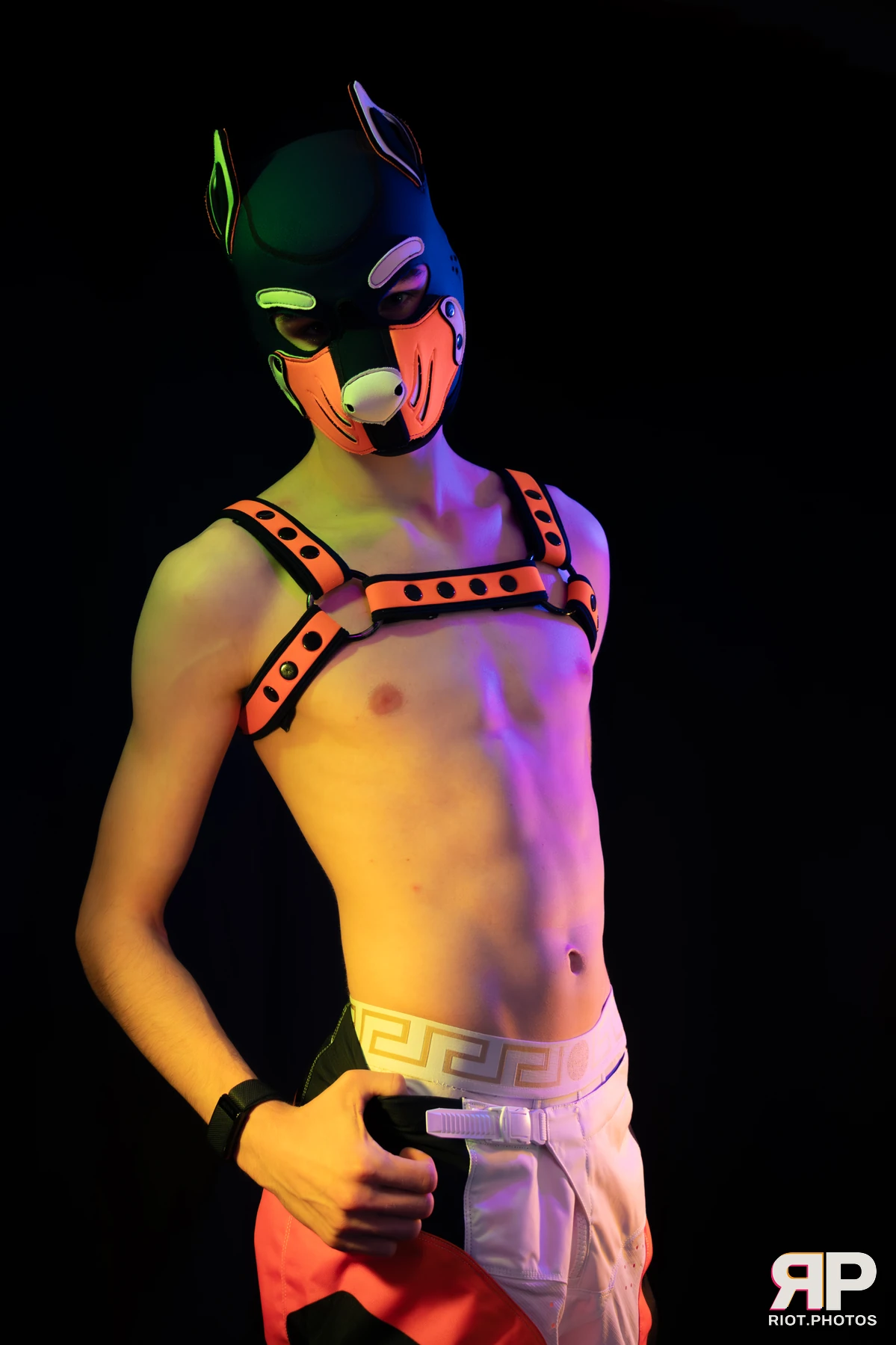Pup Taro — furry & pup photography by Fluffy Riot — photo 38