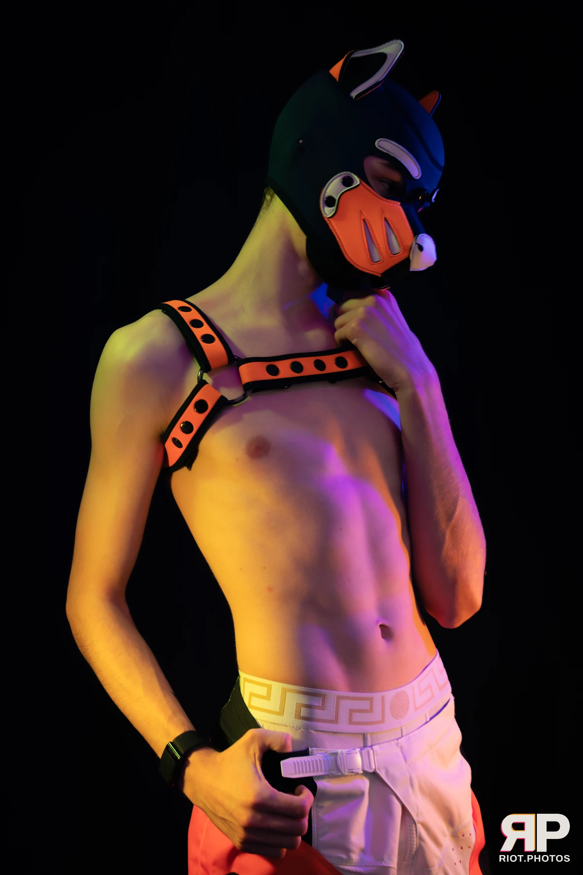 Pup Taro — furry & pup photography by Fluffy Riot — photo 39