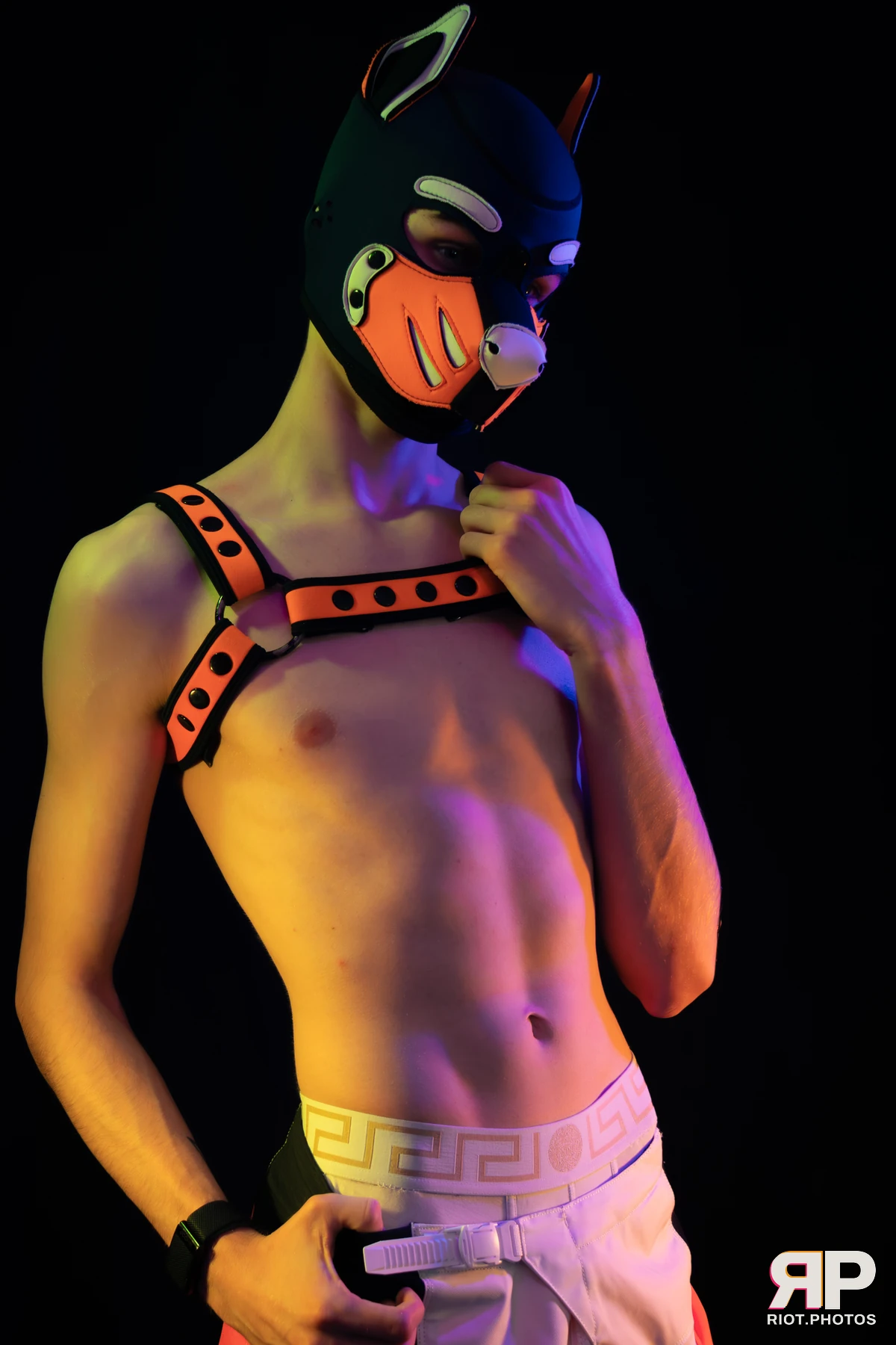 Pup Taro — furry & pup photography by Fluffy Riot — photo 40
