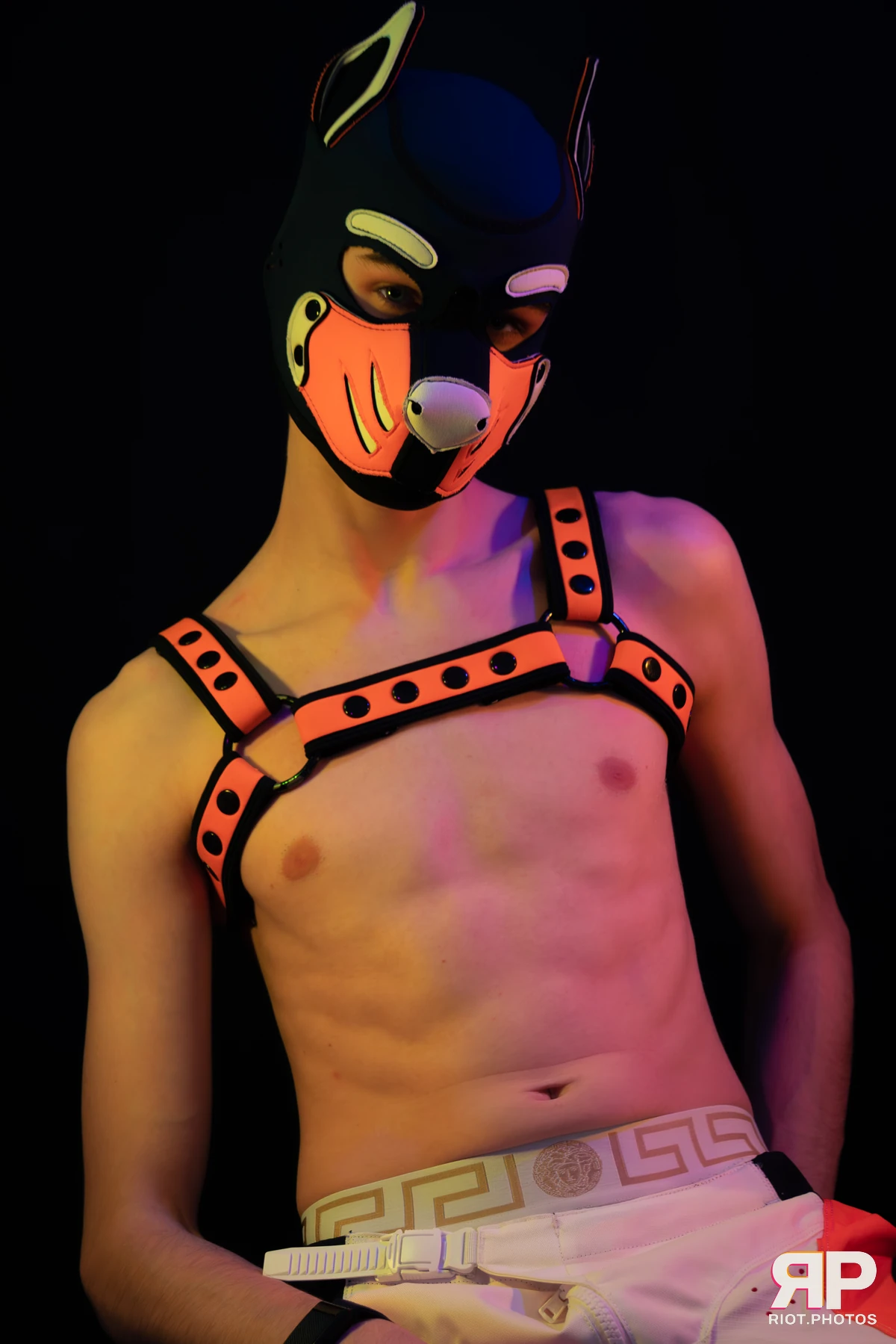 Pup Taro — furry & pup photography by Fluffy Riot — photo 44