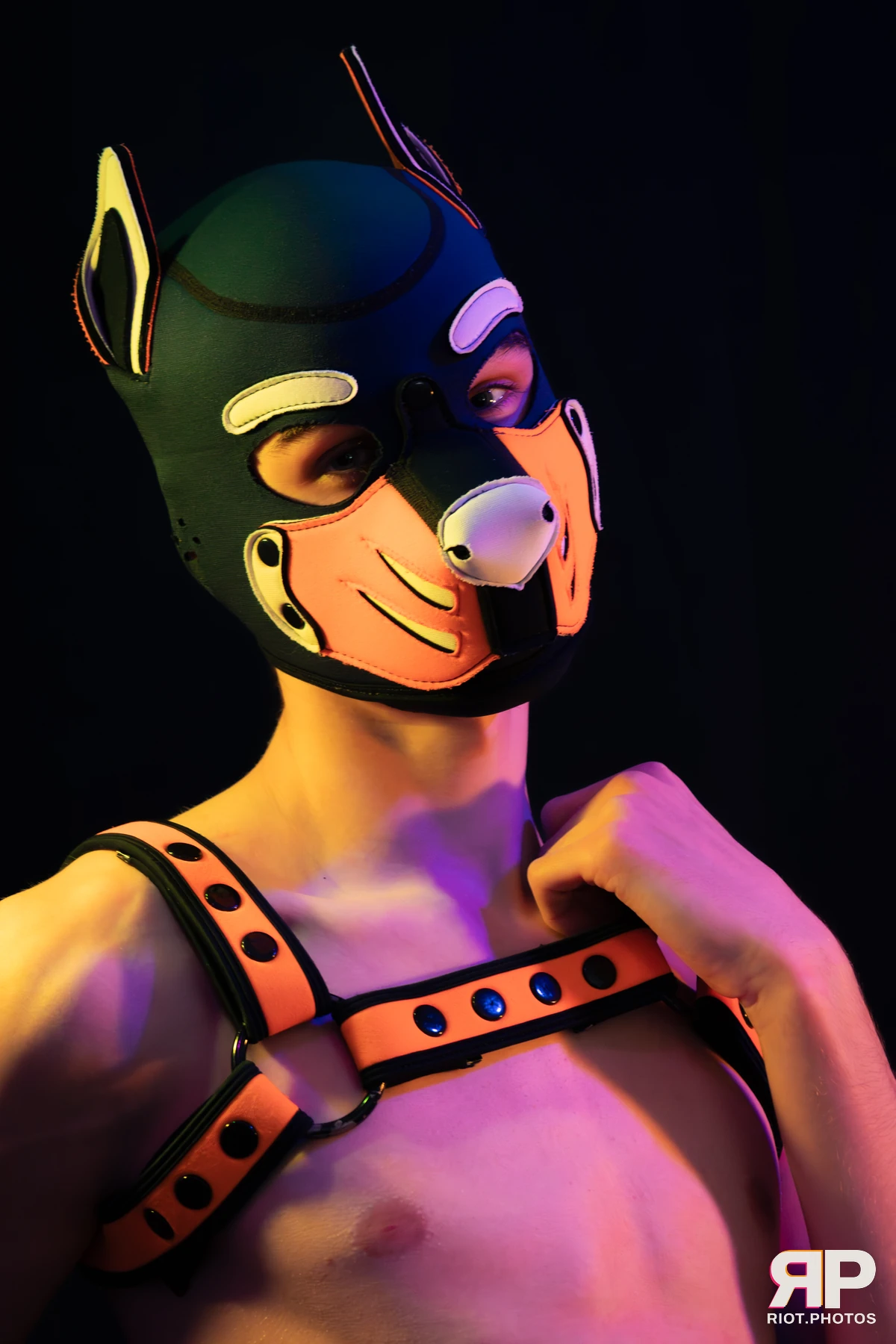 Pup Taro — furry & pup photography by Fluffy Riot — photo 46