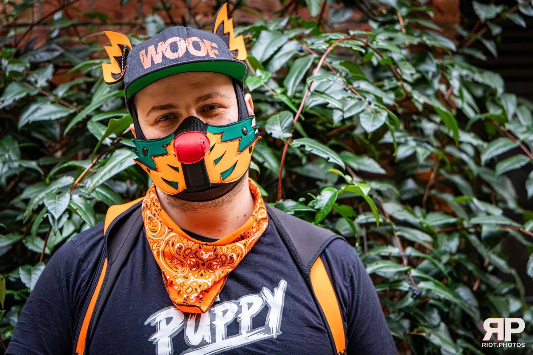 Doggy Weekend 2026 - 18 Oct 2026, Fluffy Riot photography - photo 585