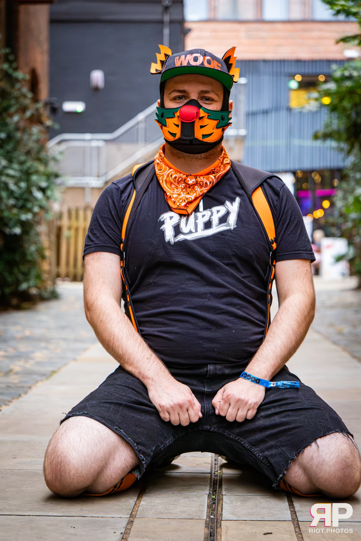 Doggy Weekend 2026 - 18 Oct 2026, Fluffy Riot photography - photo 584