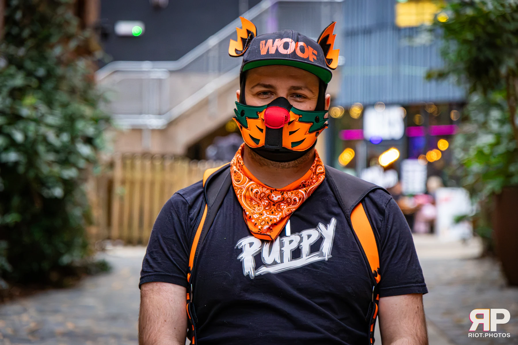 Doggy Weekend 2026 - 18 Oct 2026, Fluffy Riot photography - photo 583